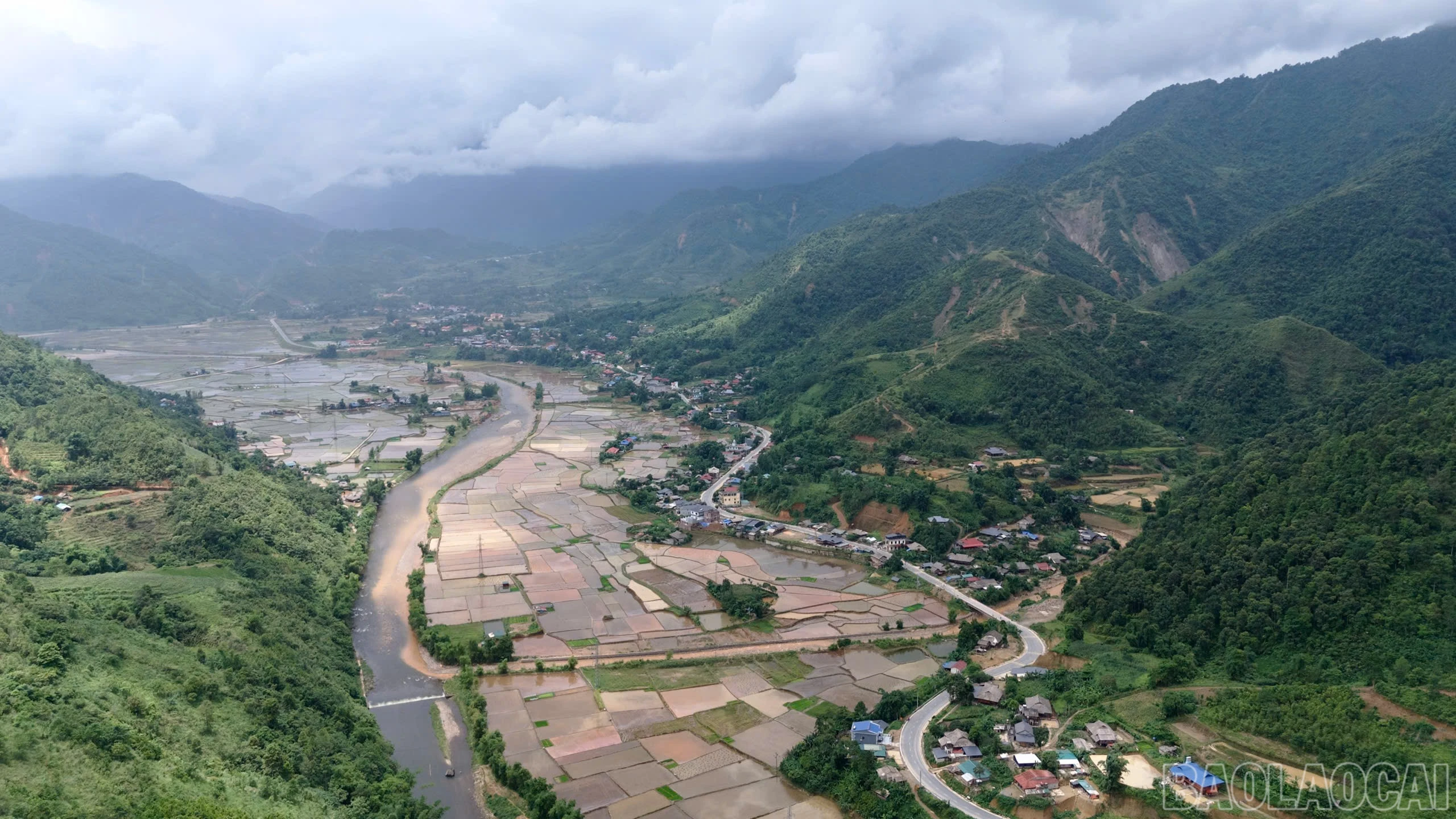 baolaocai-br_deo-3.jpg