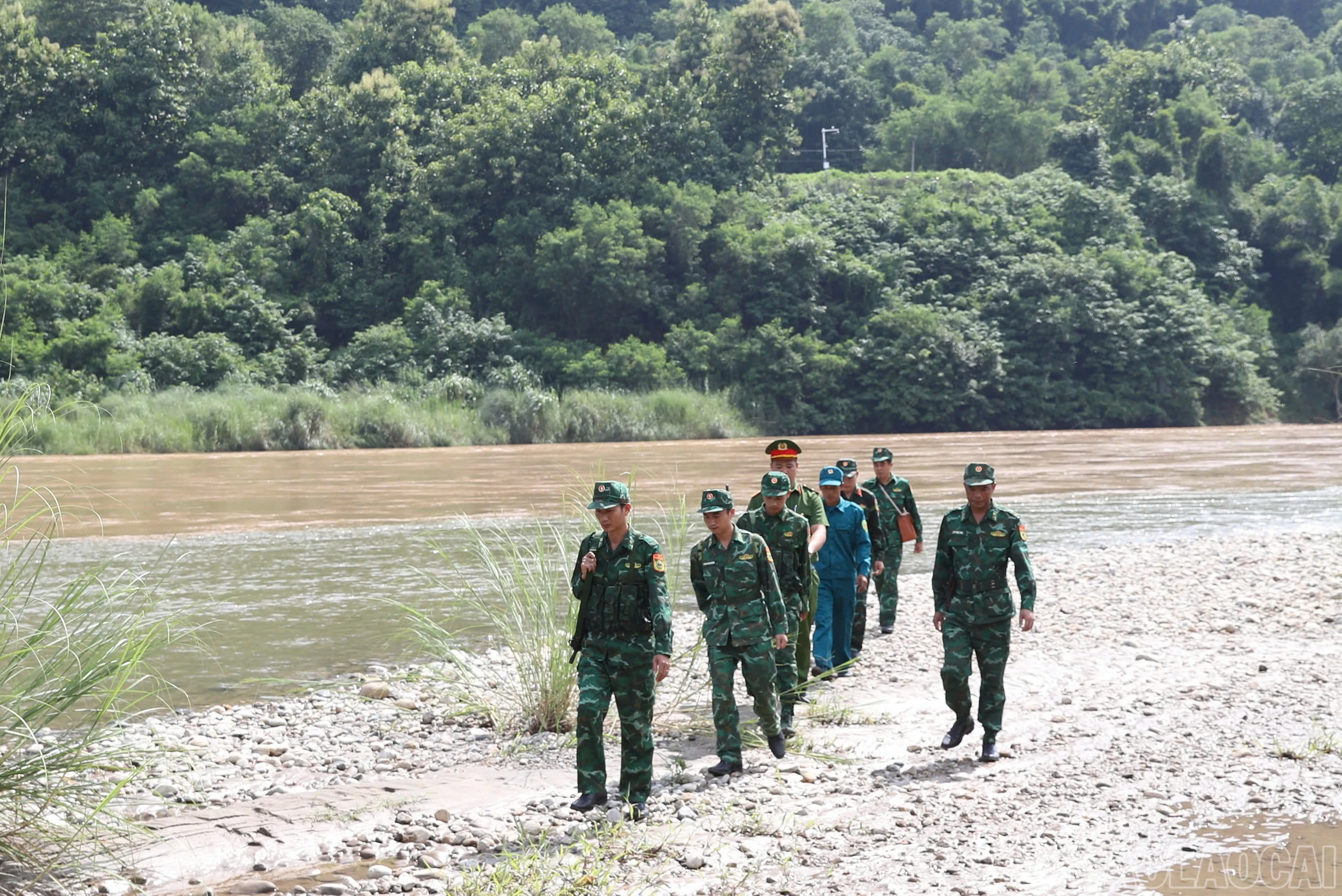 baolaocai-br_amusung-3.jpg