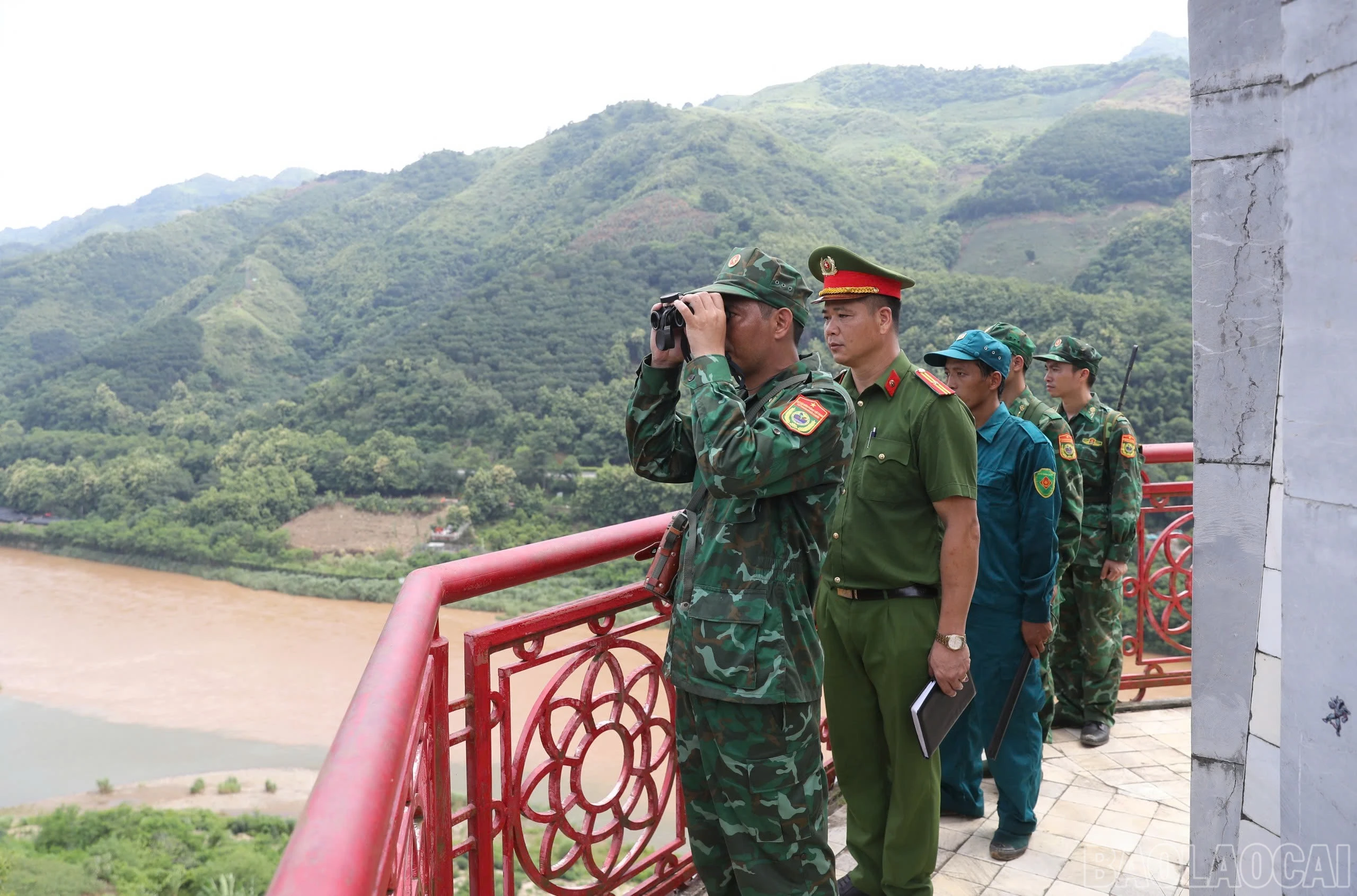 baolaocai-br_amusung-5.jpg