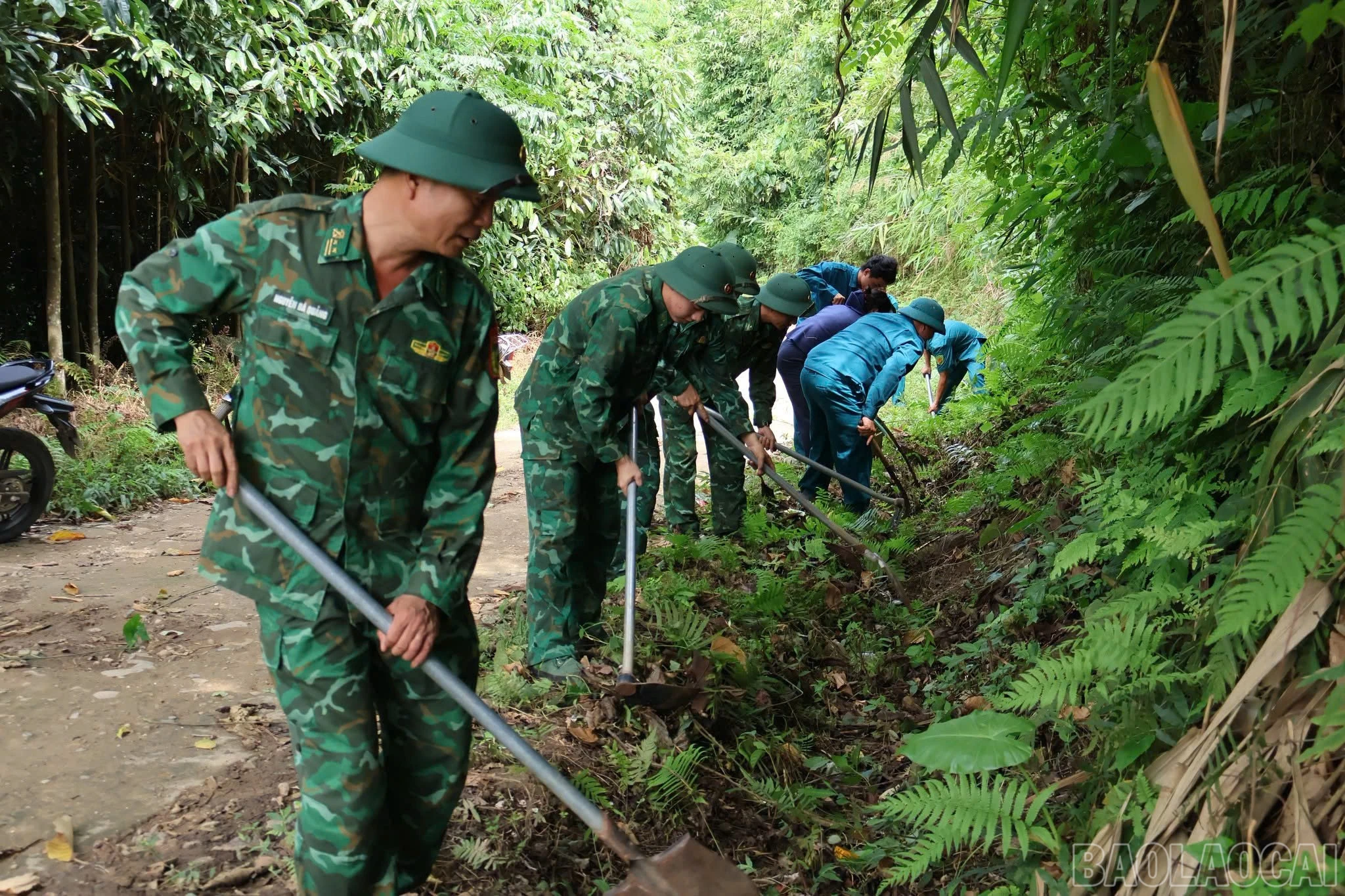 baolaocai-br_amusung-8.jpg