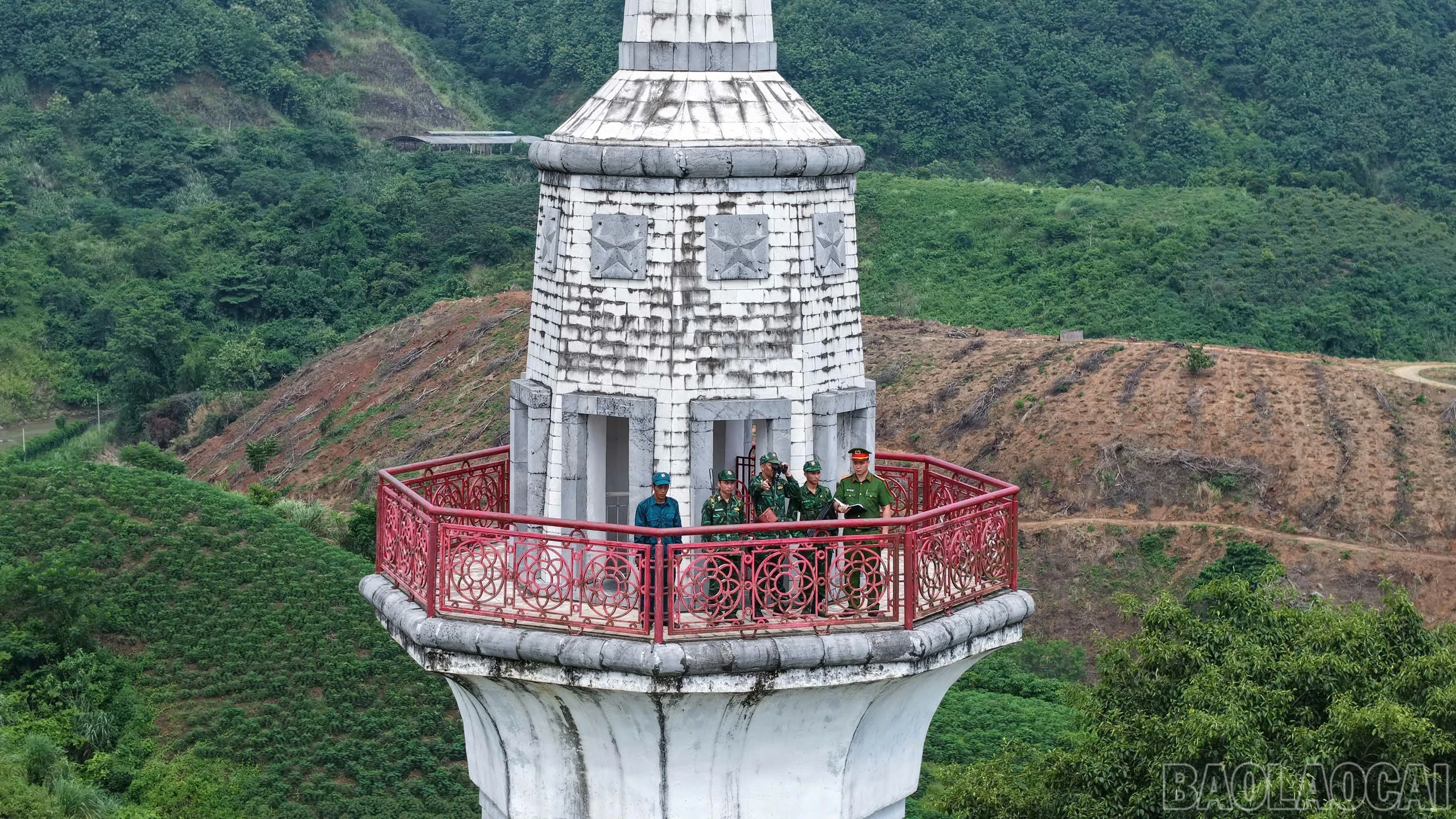 baolaocai-br_a11.jpg