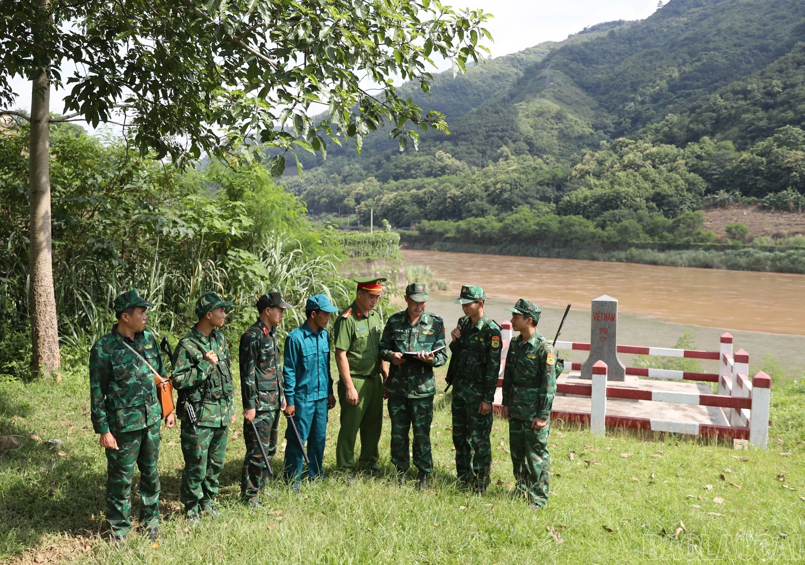 baolaocai-br_amusung-1.jpg