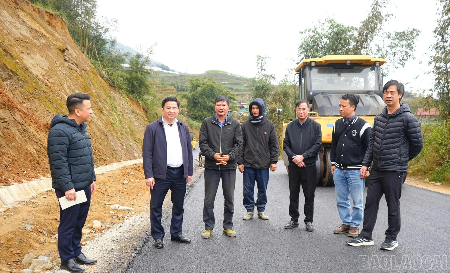 baolaocai-br_da-6.jpg