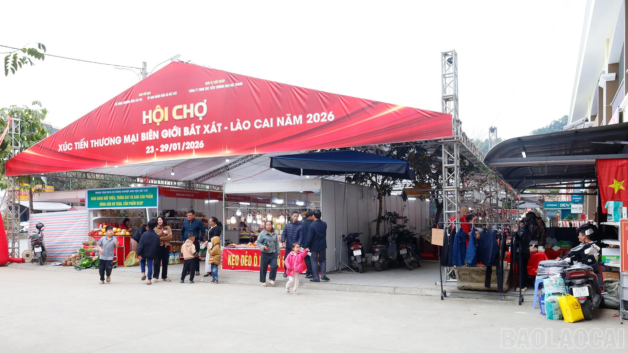 baolaocai-br_mg-8842.jpg