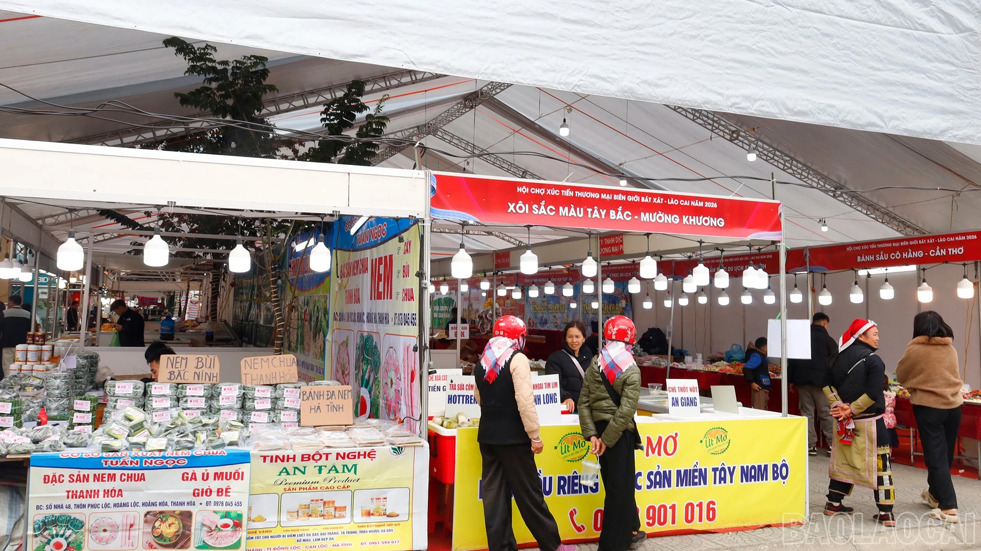 baolaocai-br_mg-8860.jpg