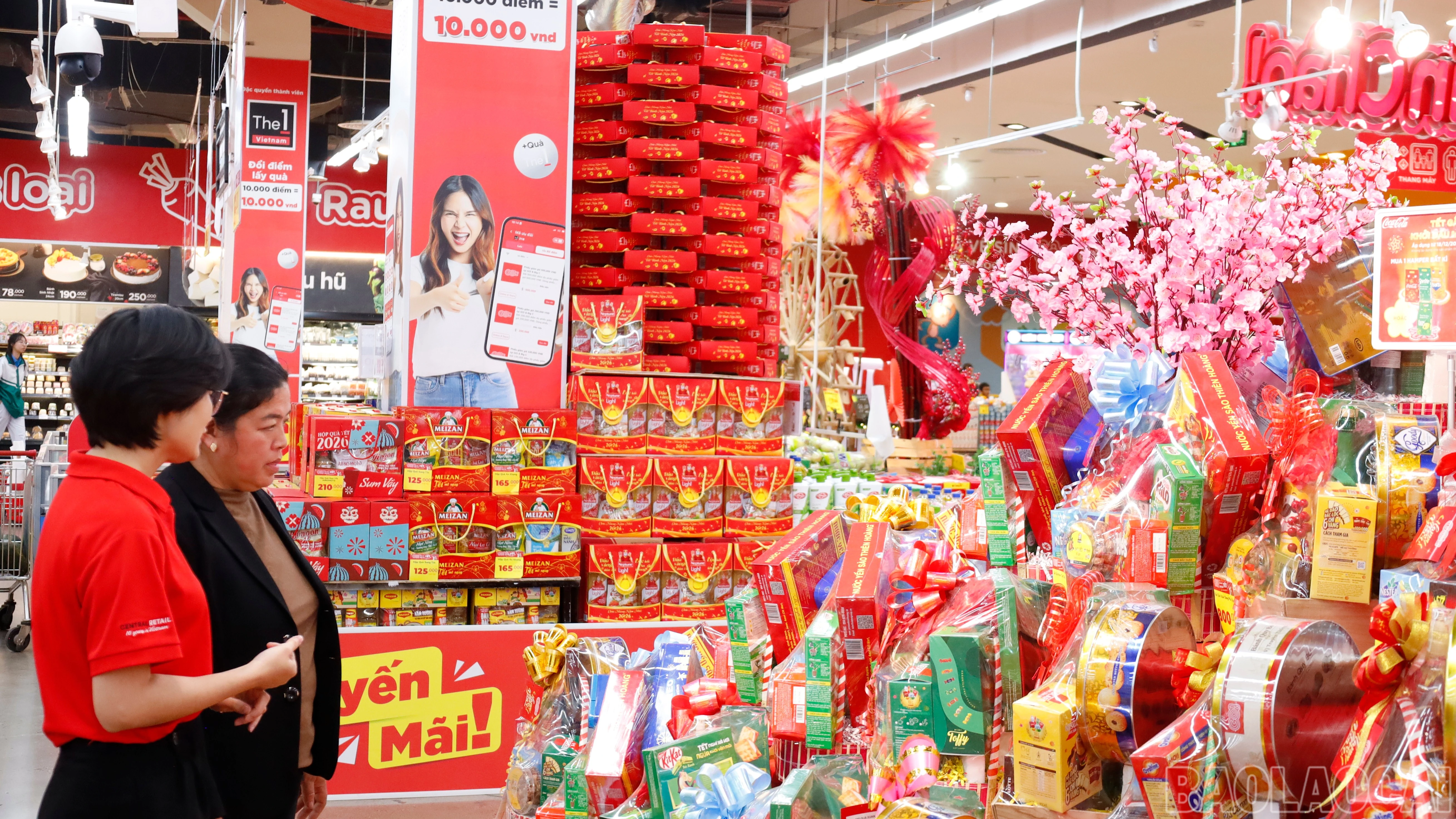 baolaocai-br_mg-8053.jpg