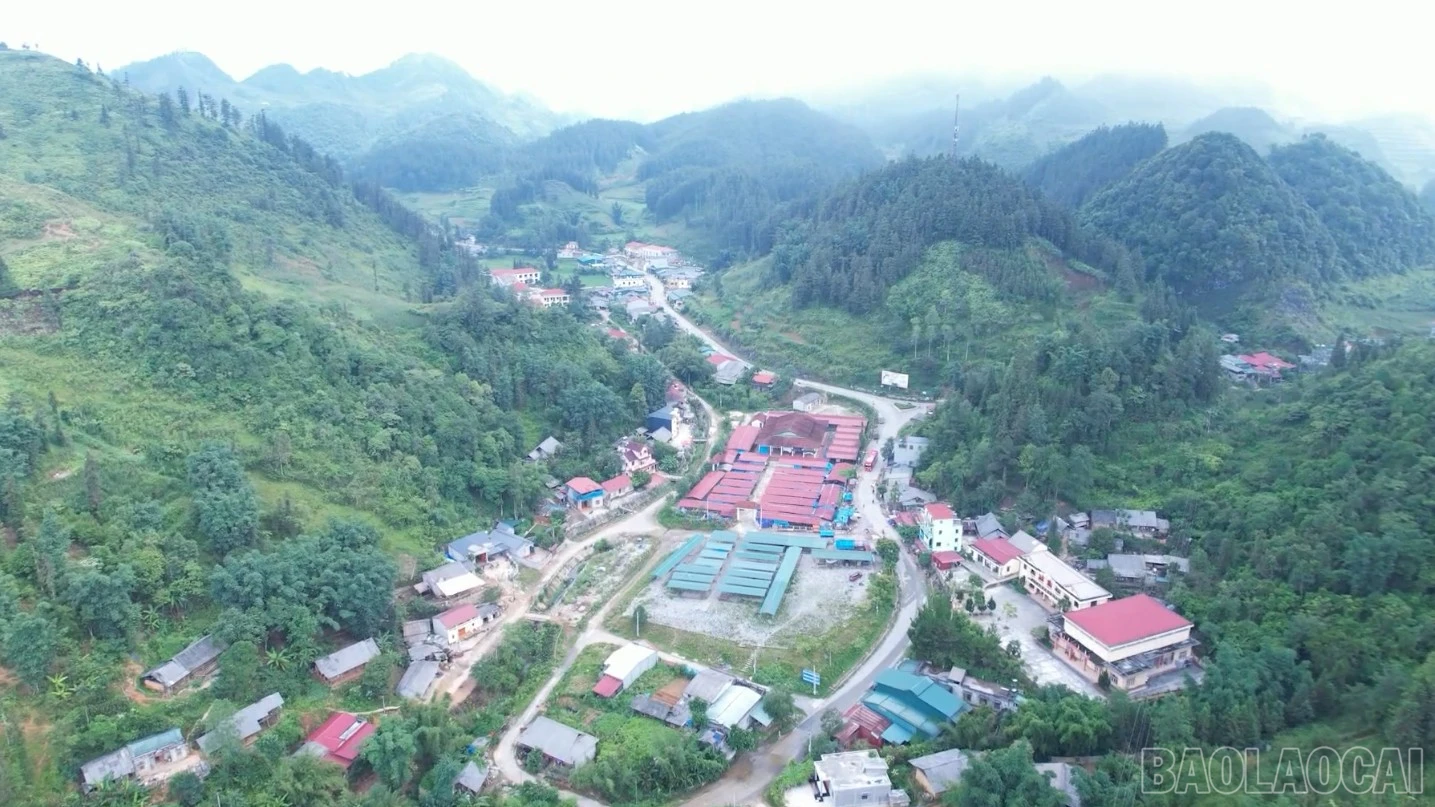 baolaocai-br_lp2.jpg