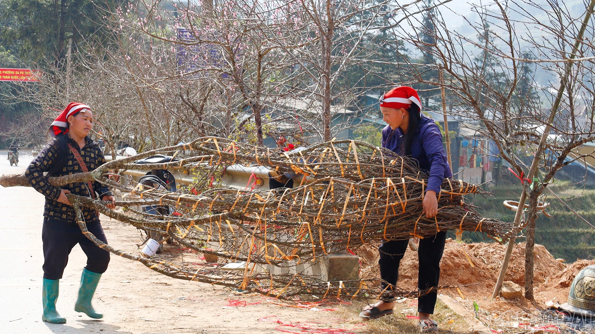 baolaocai-br_mg-9445.jpg