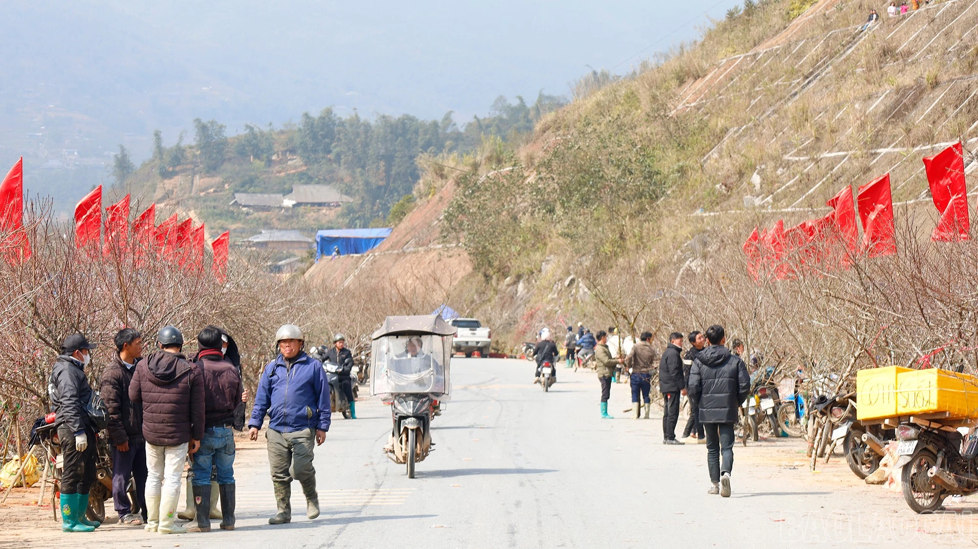 baolaocai-br_mg-9414.jpg