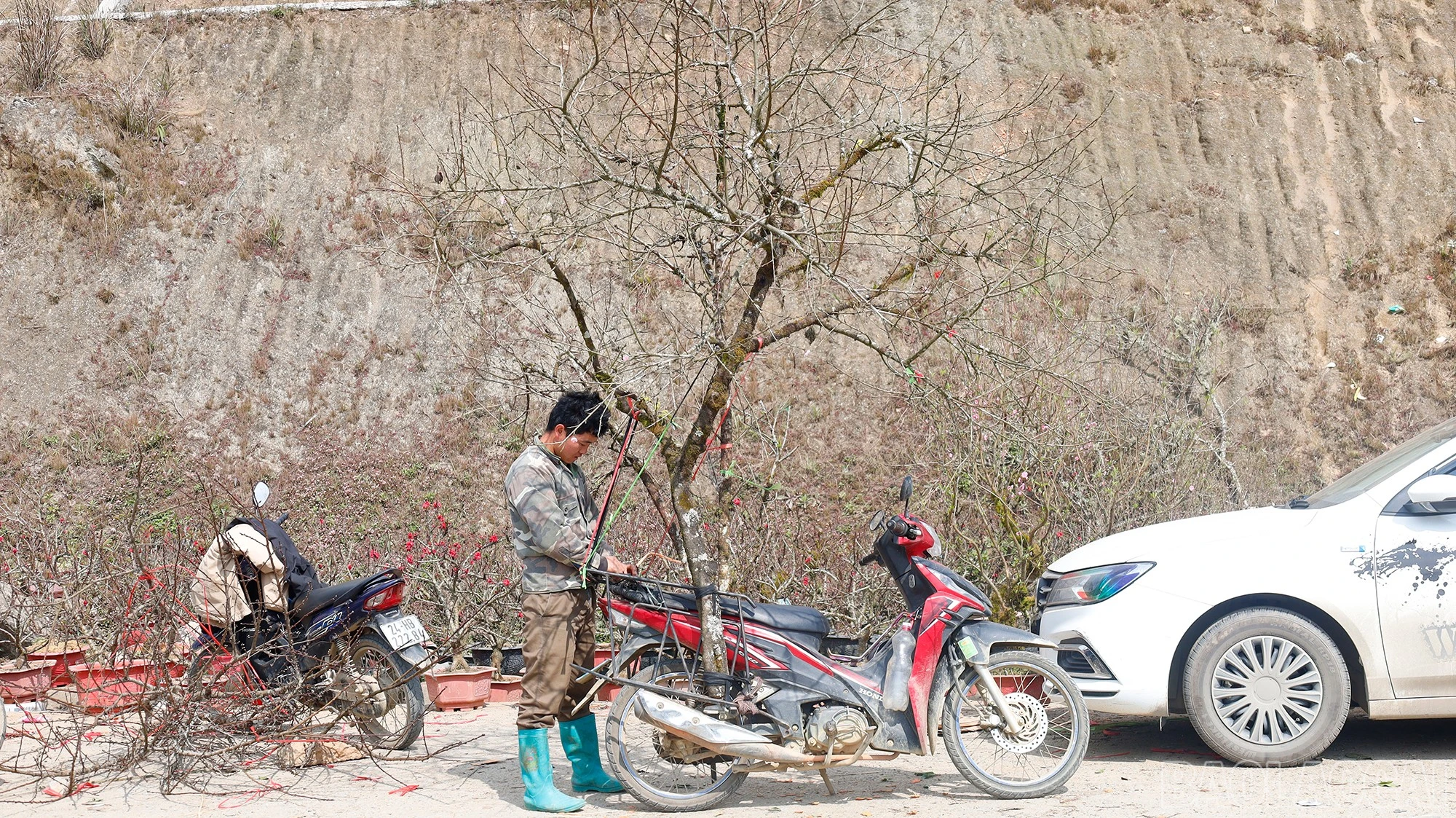 baolaocai-br_mg-9382.jpg