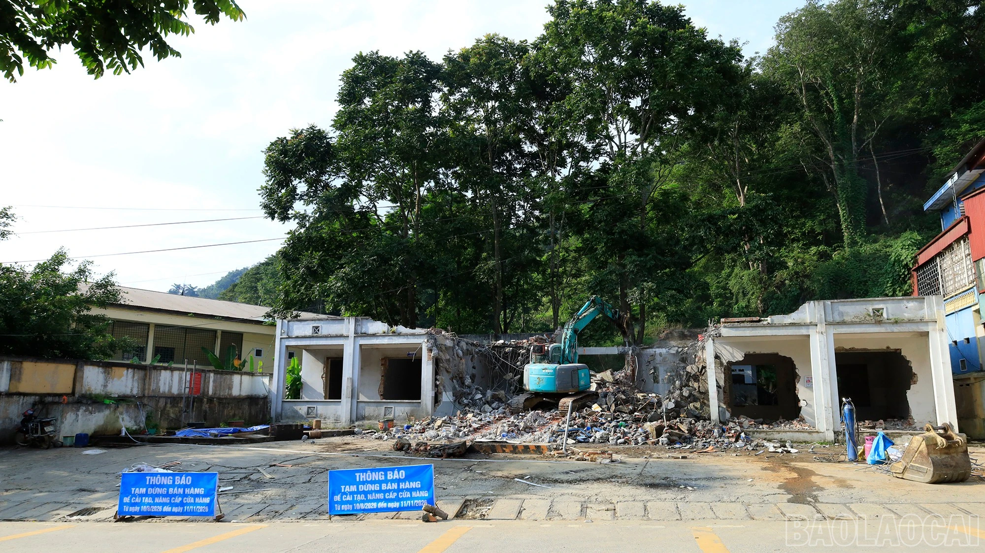 baolaocai-br_mg-9863.jpg