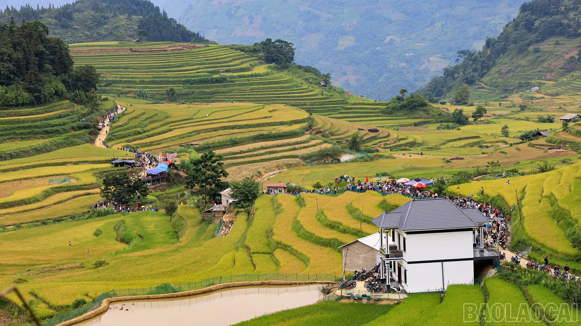 baolaocai-br_mg-0404.jpg