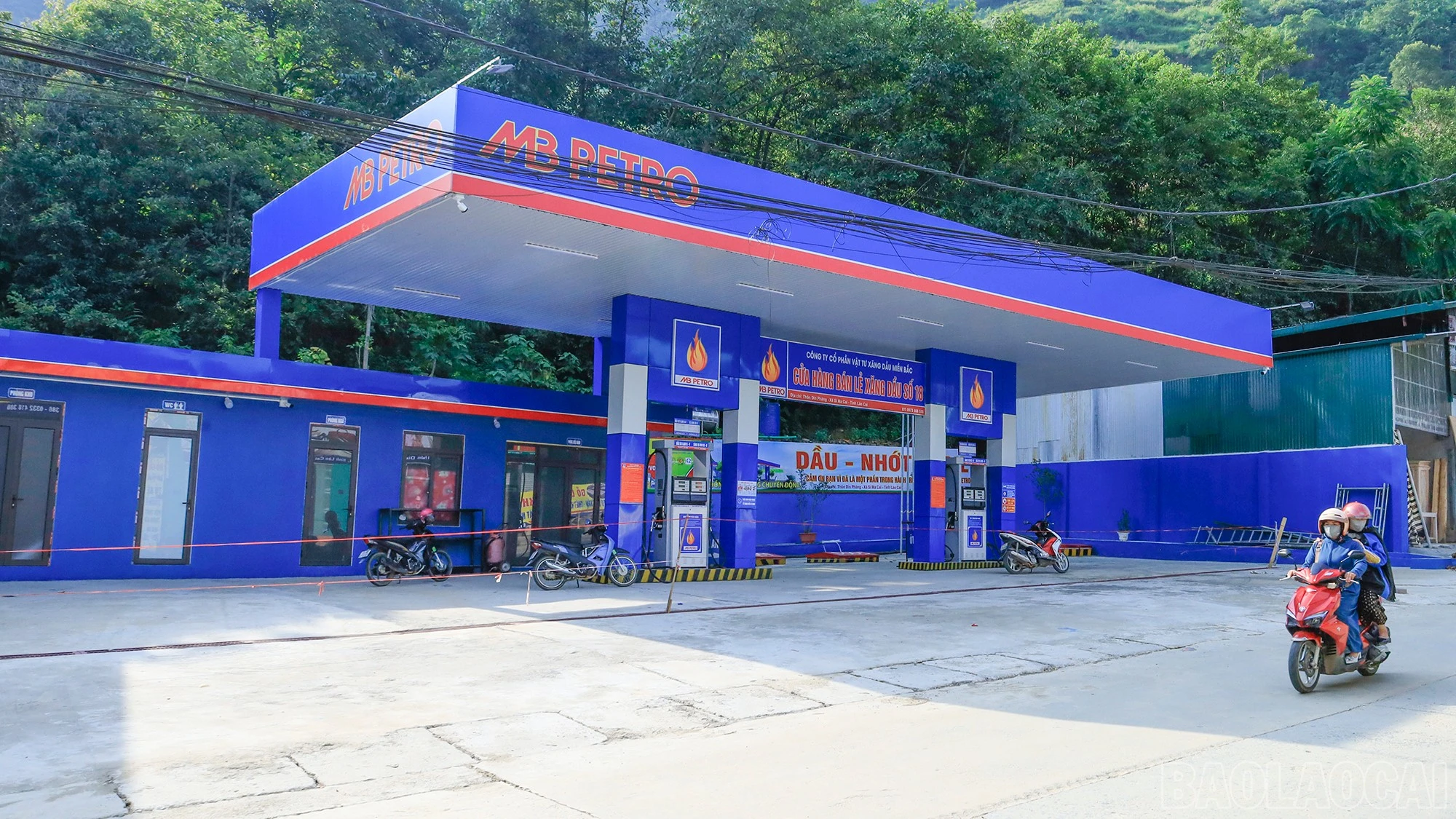 baolaocai-br_mg-9861.jpg