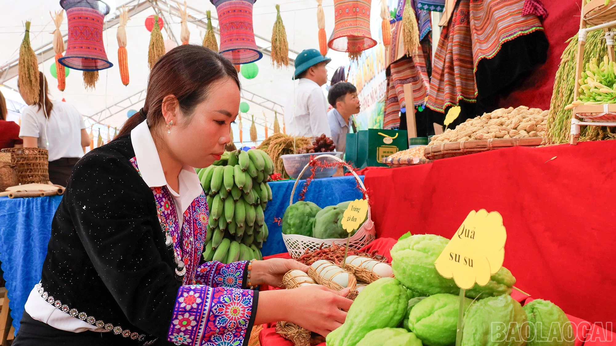 baolaocai-br_mg-9924.jpg