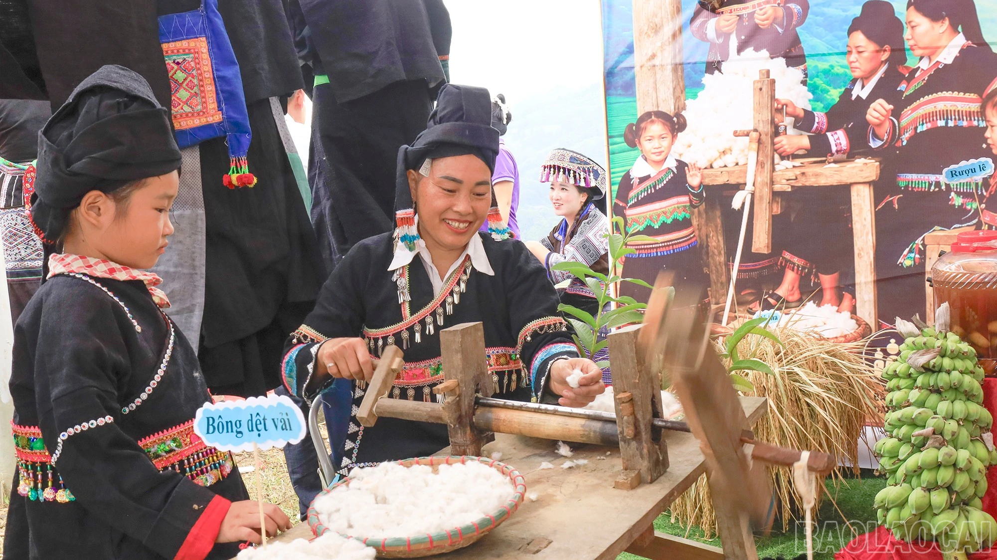 baolaocai-br_mg-0001.jpg