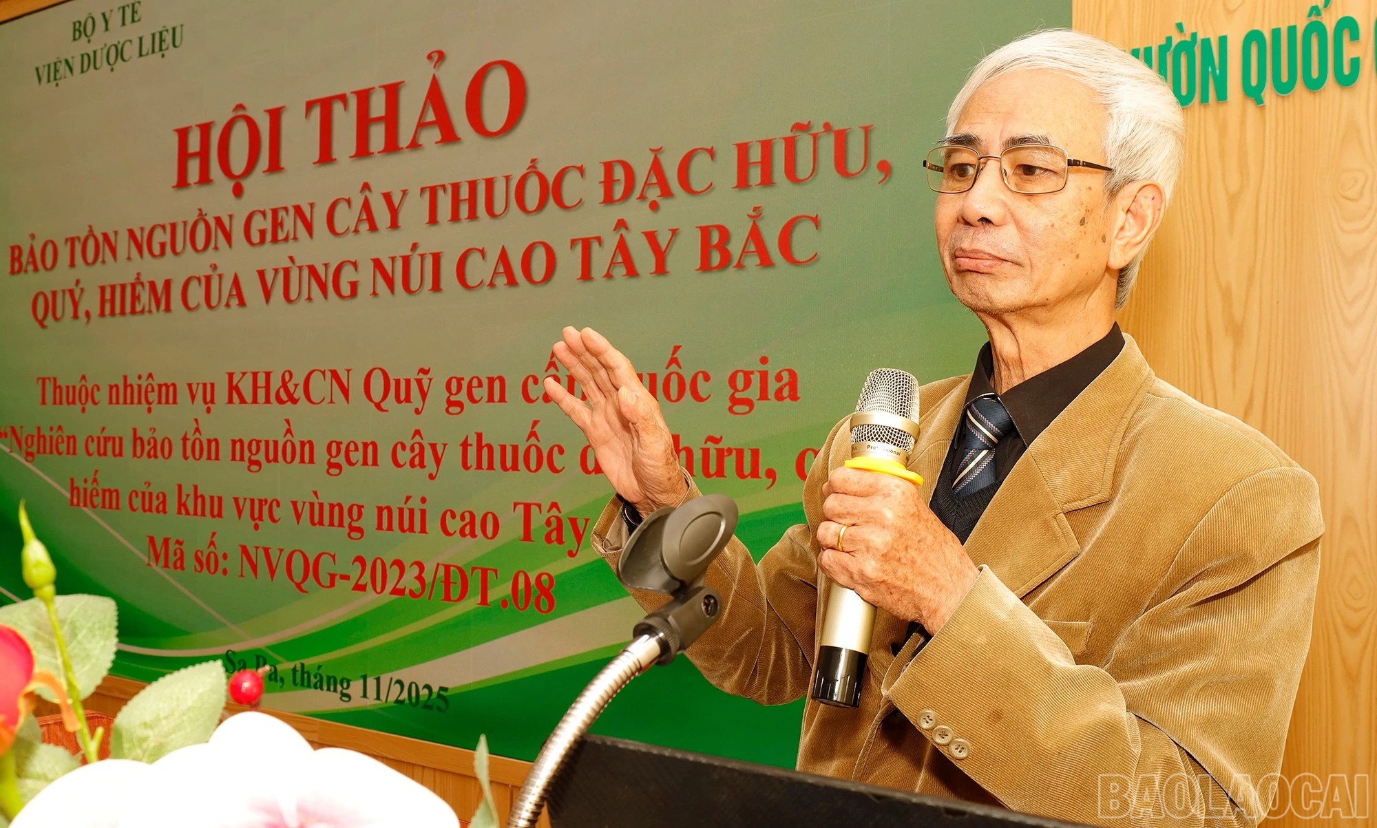 baolaocai-br_mg-9237.jpg