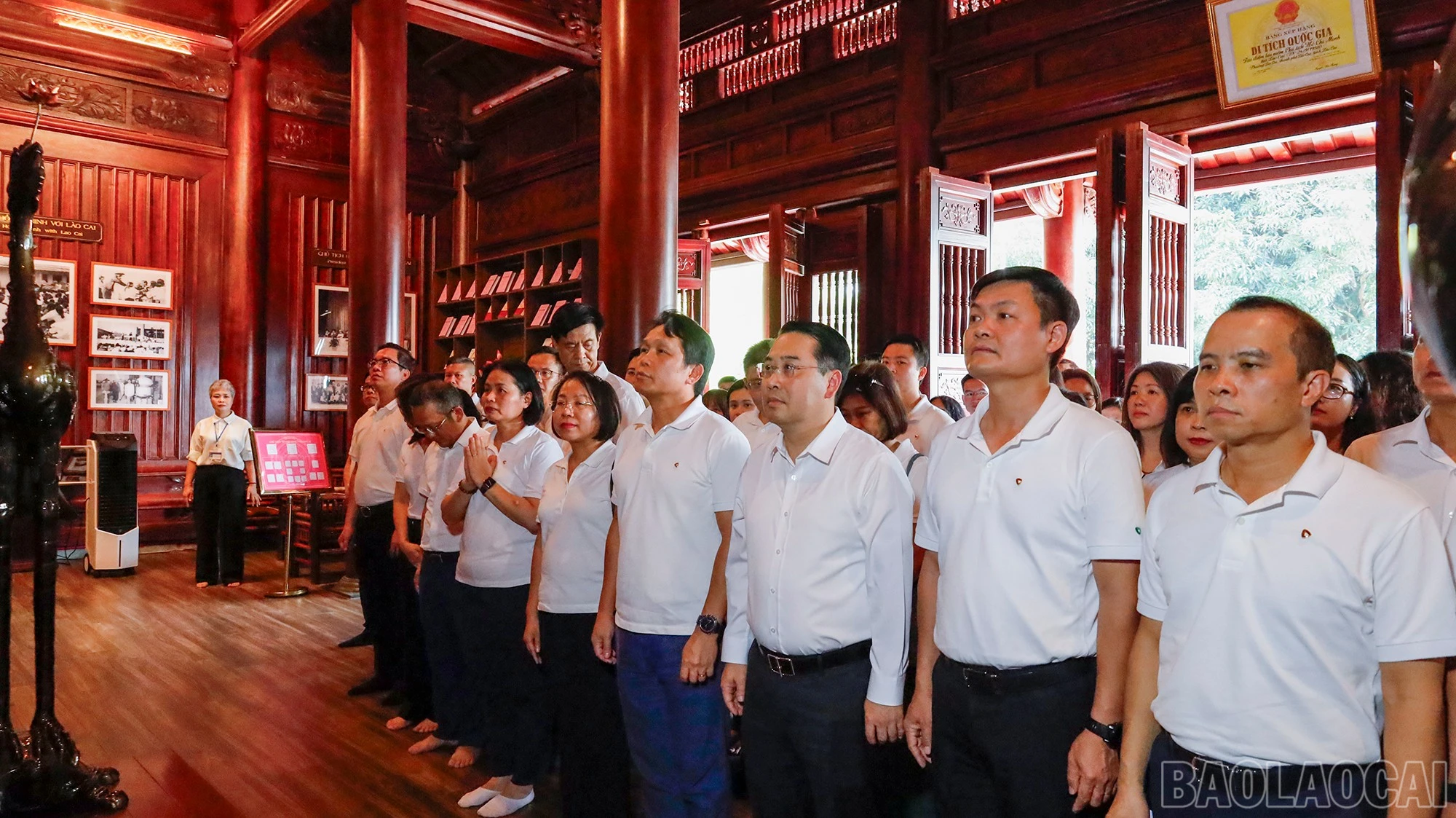 baolaocai-br_mg-2532.jpg