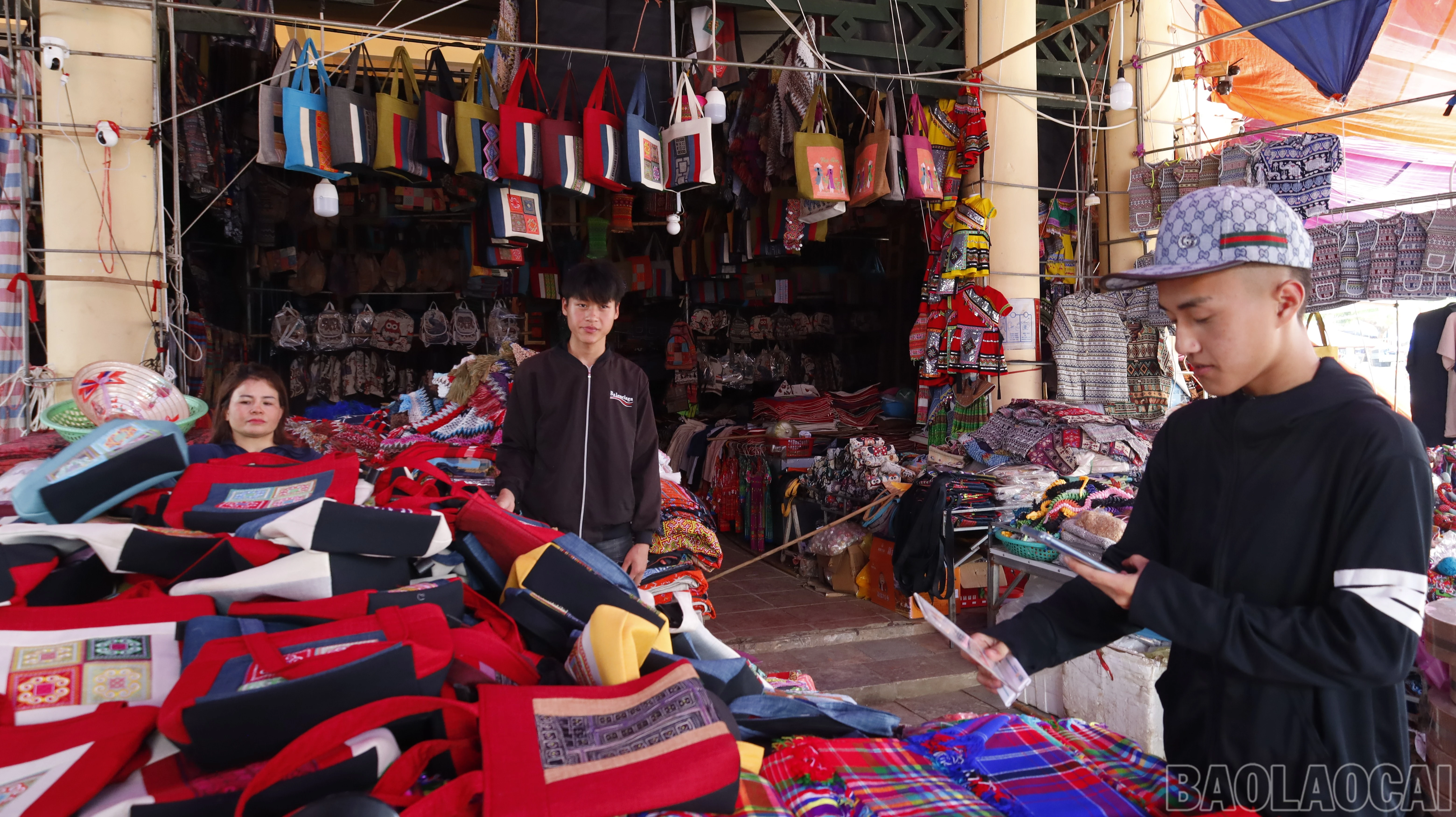 baolaocai-br_mg-0575.jpg