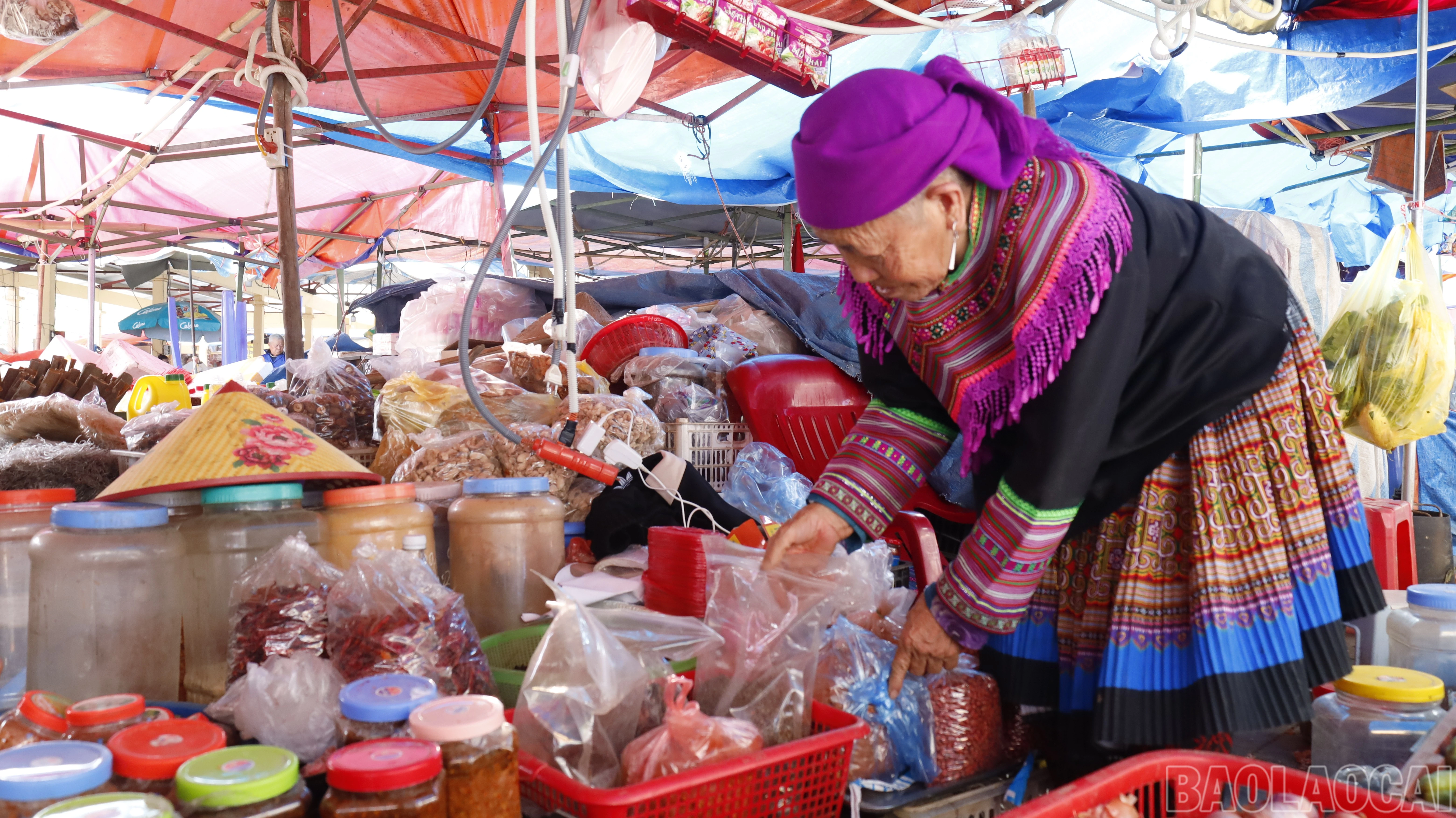 baolaocai-br_mg-0579.jpg