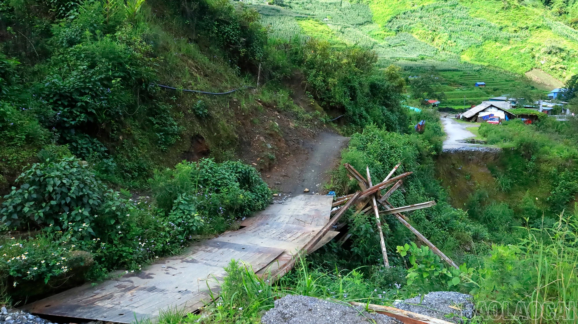 baolaocai-br_mg-9336.jpg