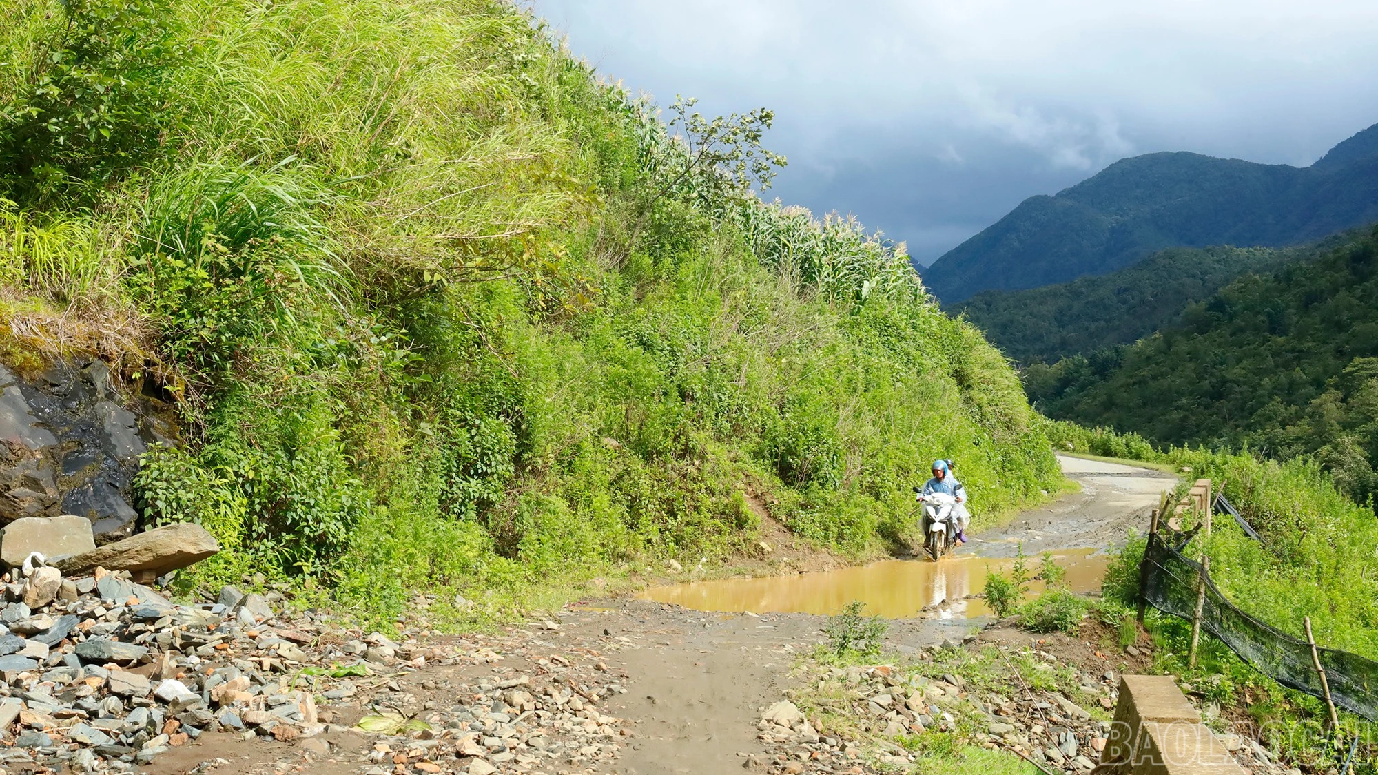 baolaocai-br_mg-9271.jpg