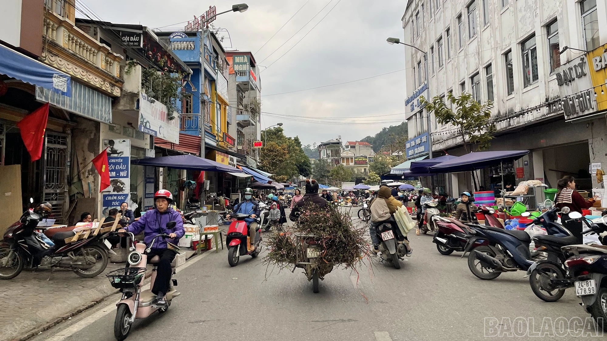 baolaocai-br_img-5974.jpg