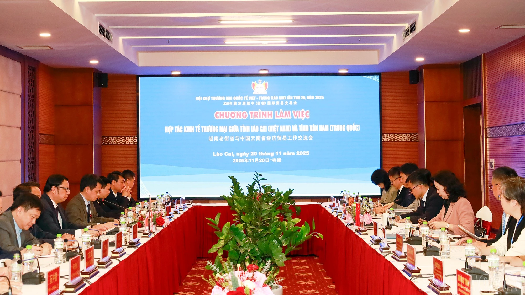 baolaocai-br_mg-0229.jpg
