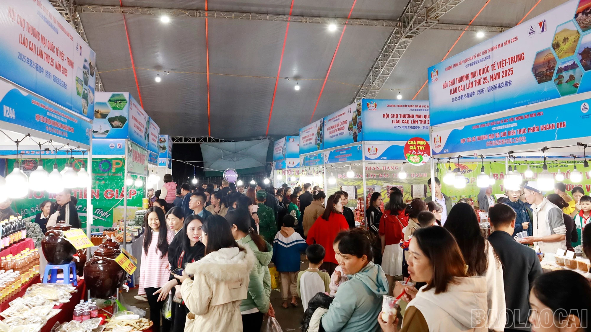 baolaocai-br_mg-0333.jpg