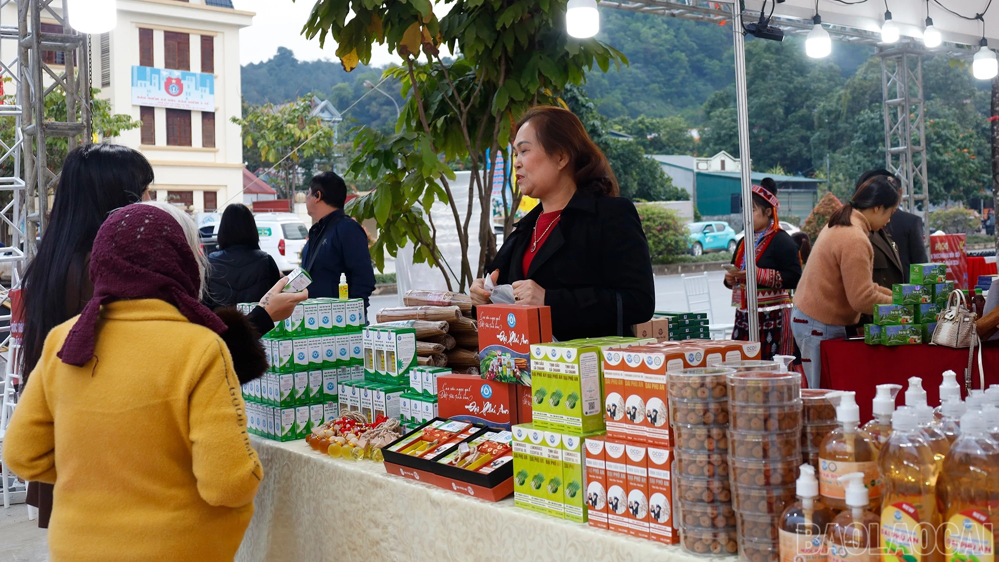 baolaocai-br_mg-8920.jpg