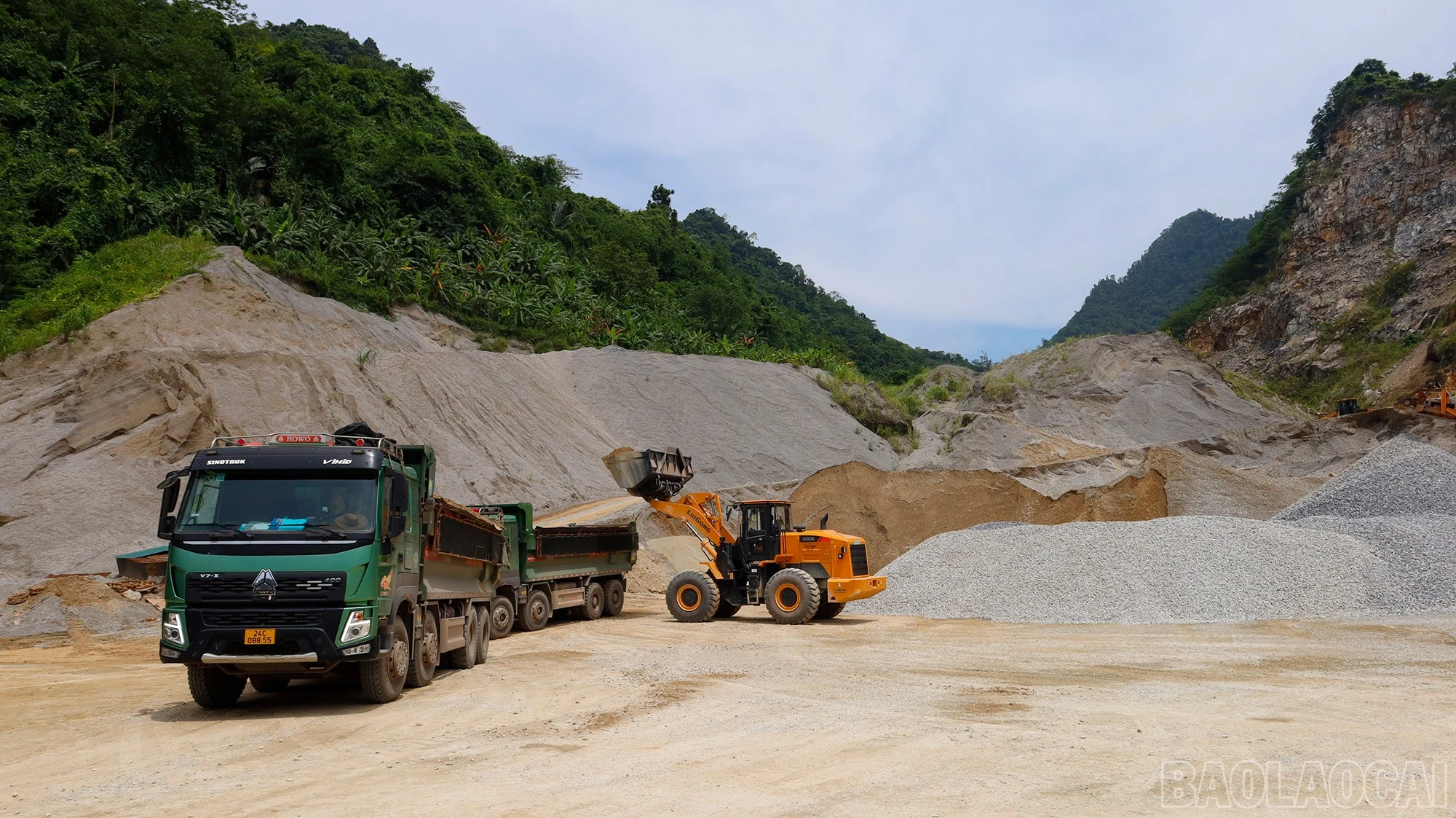 baolaocai-br_mg-0881.jpg