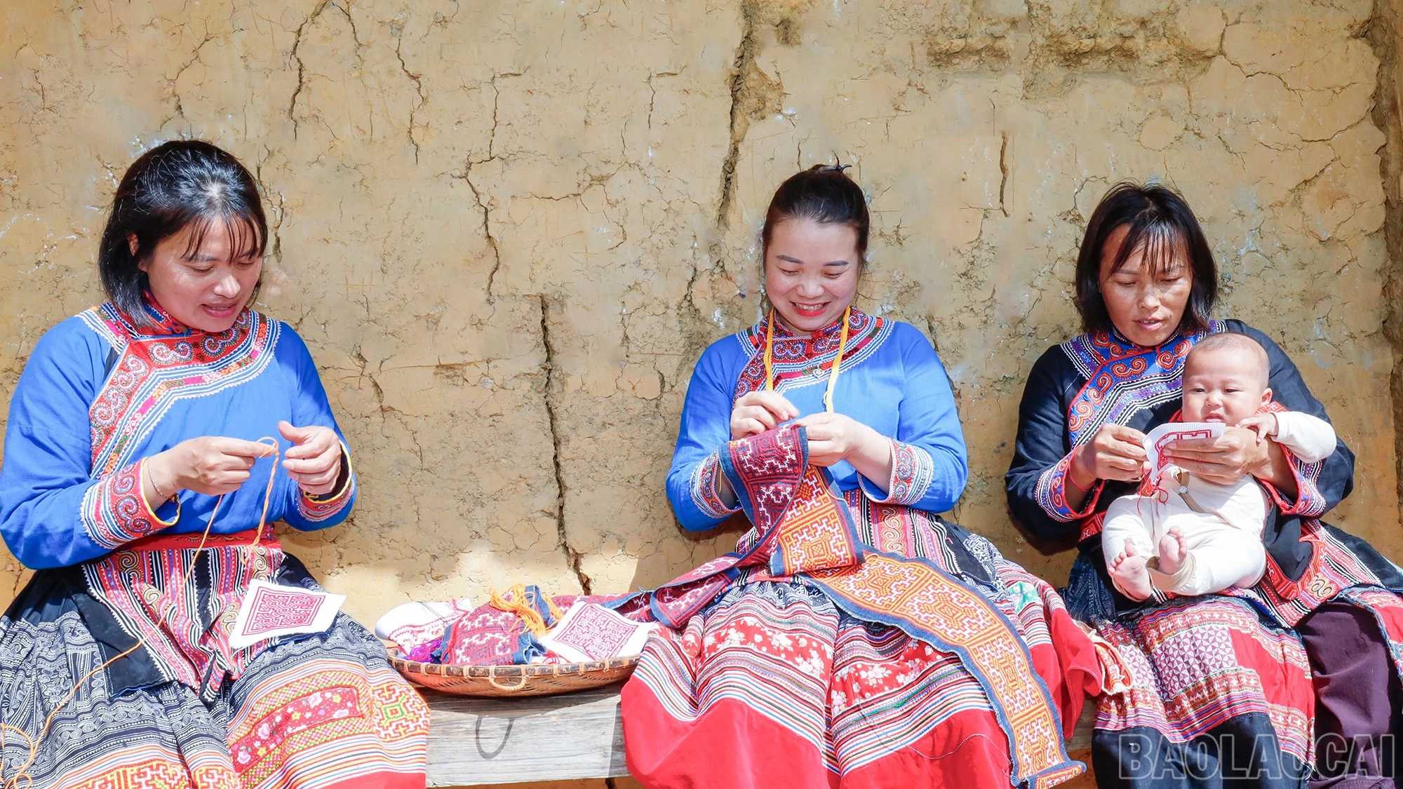 baolaocai-br_mg-2831.jpg