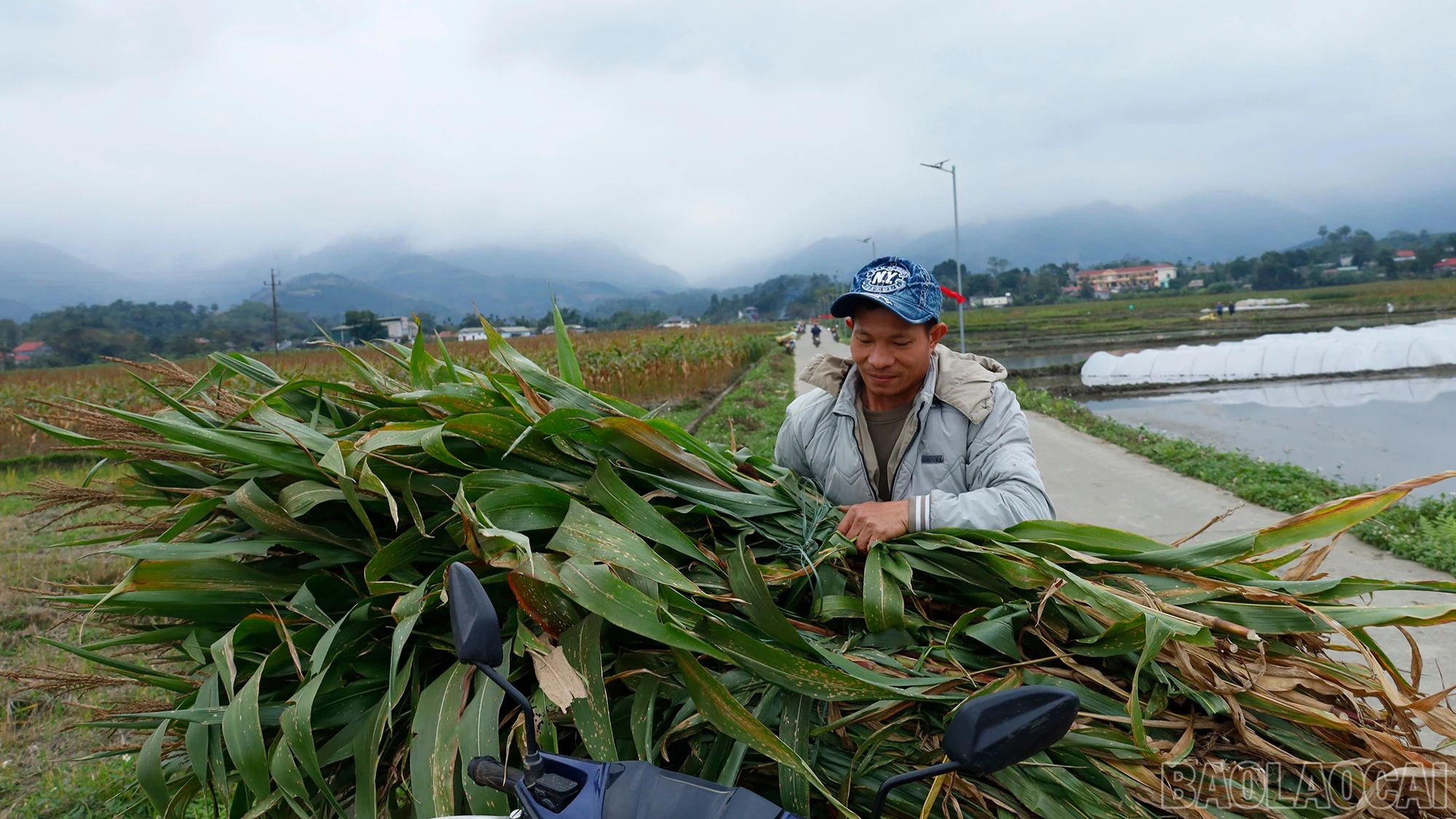 baolaocai-br_mg-8805.jpg