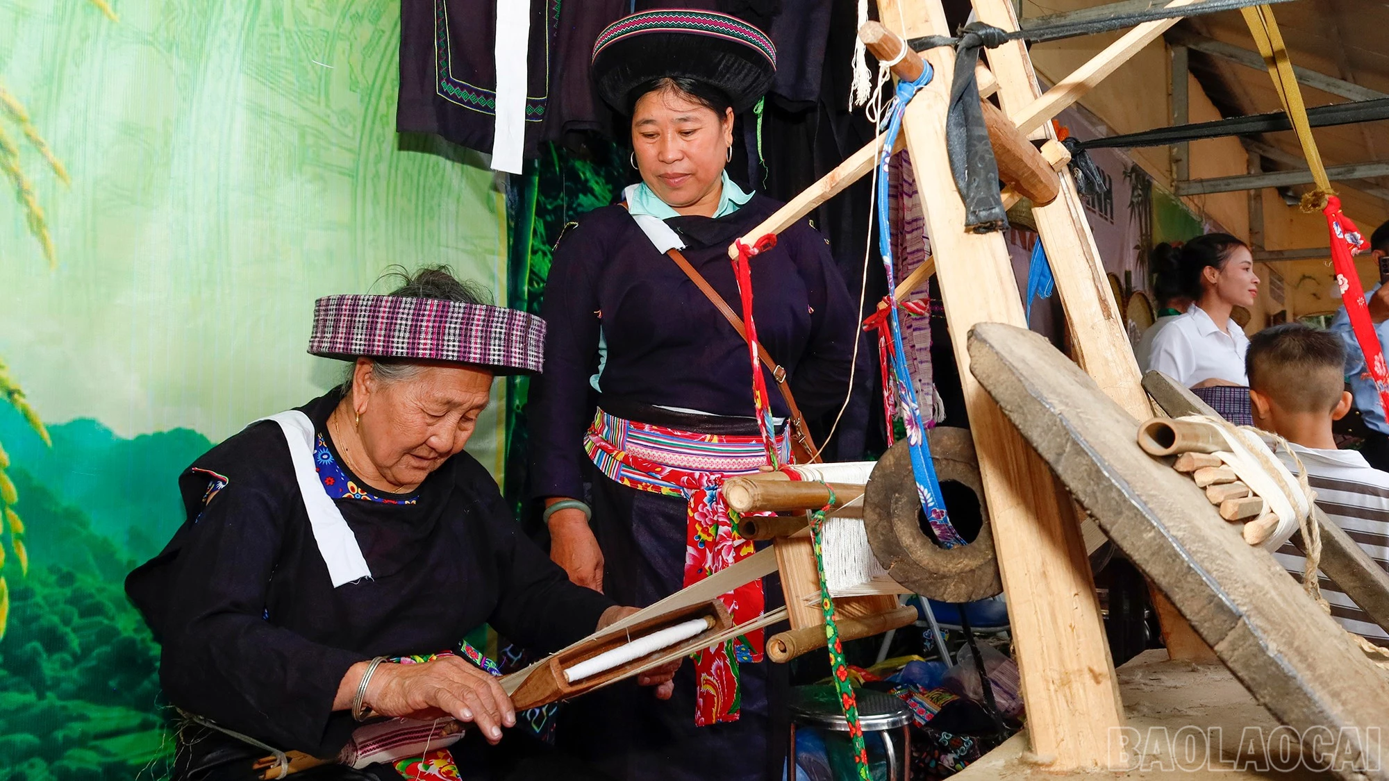 baolaocai-br_mg-1156.jpg