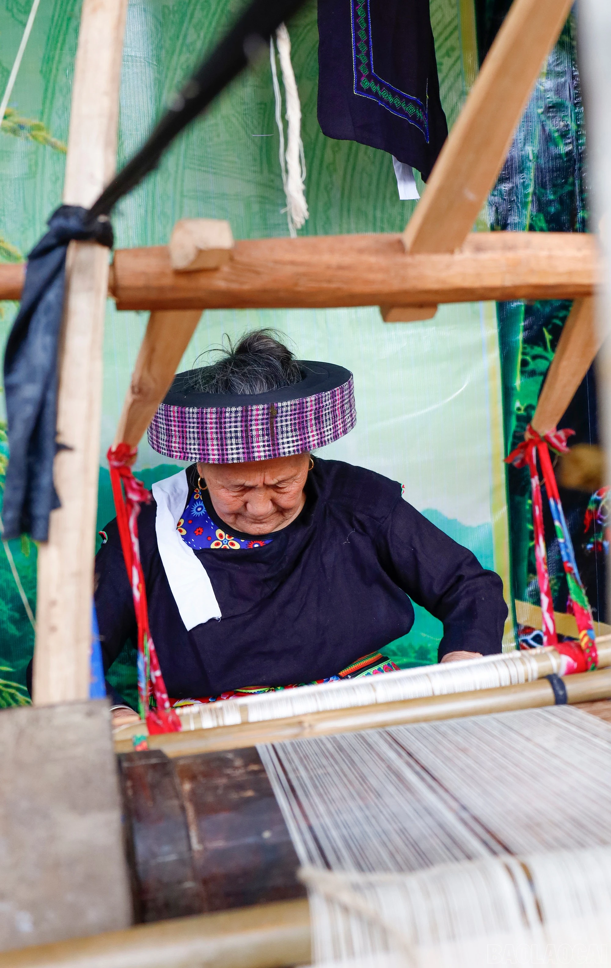 baolaocai-br_mg-1149.jpg