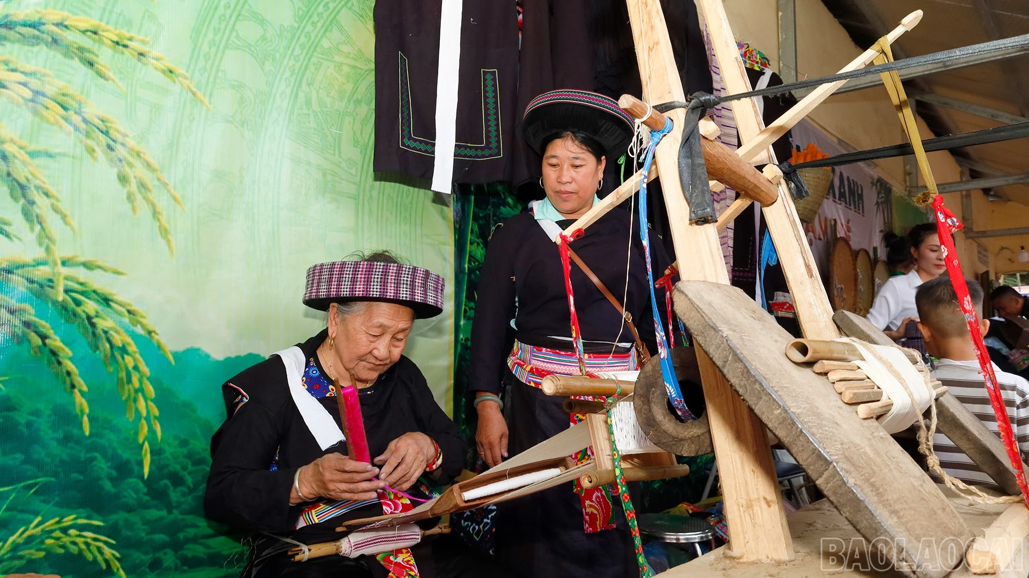 baolaocai-br_mg-1160.jpg