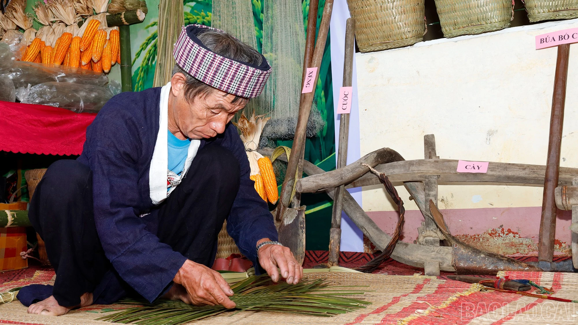 baolaocai-br_mg-0924.jpg