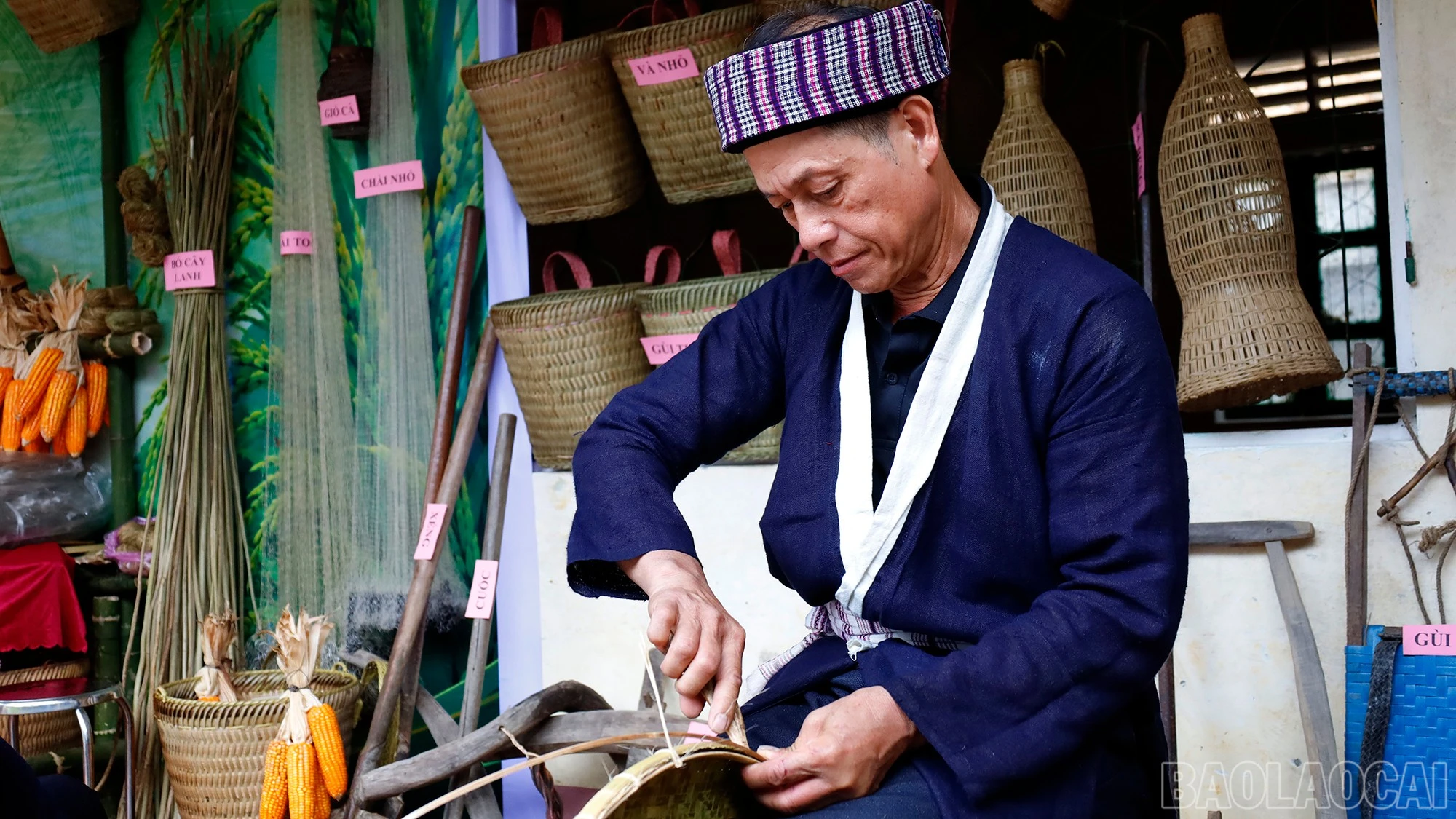 baolaocai-br_mg-0947.jpg
