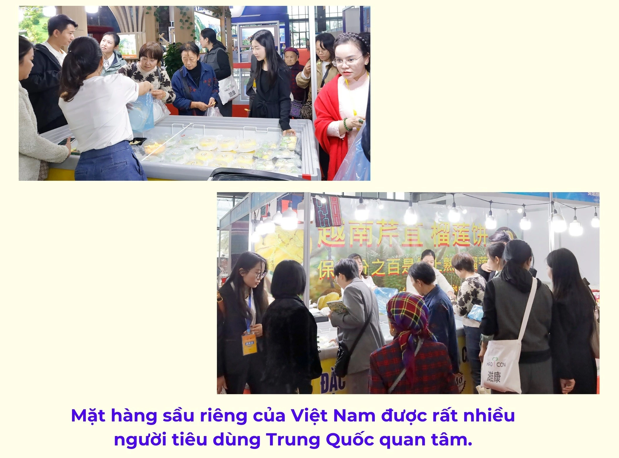 hv1.jpg