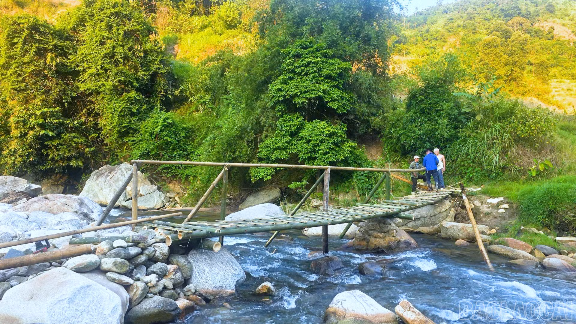 baolaocai-br_c661100-05-02-07still020.jpg