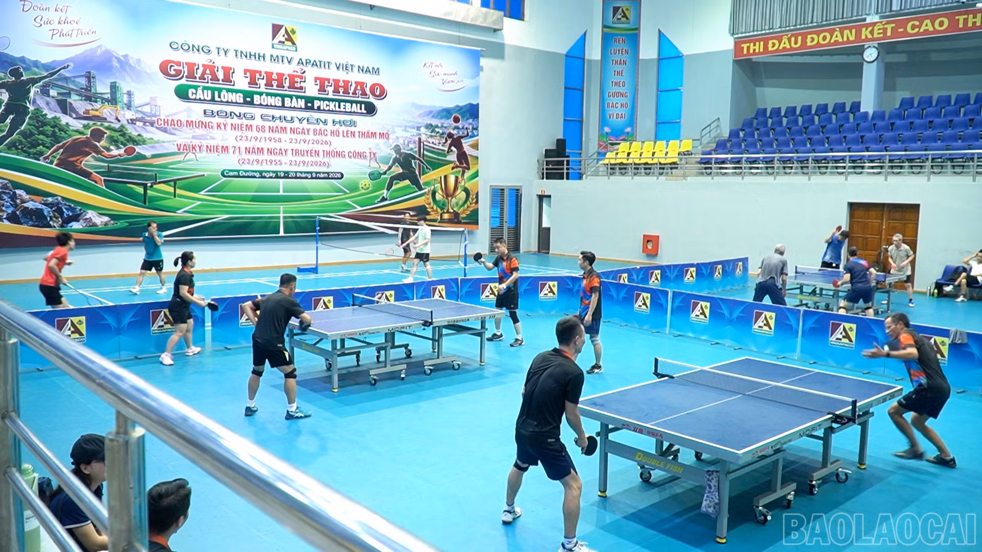 baolaocai-br_c005100-16-53-14still013.jpg