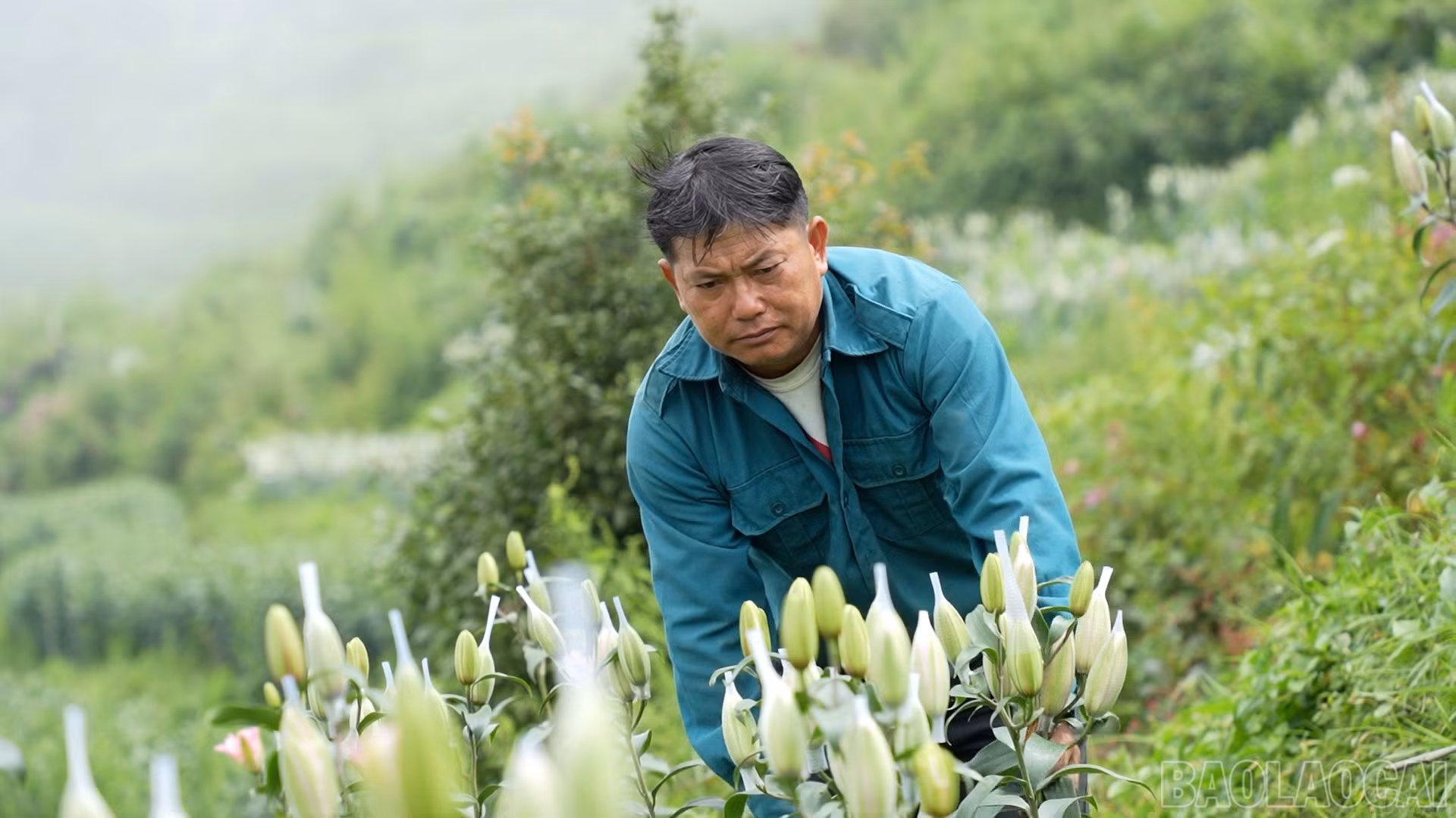 baolaocai-br_c632300-15-03-24still014.jpg