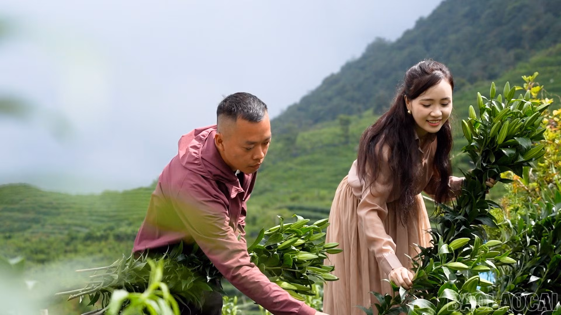 baolaocai-br_c631800-11-47-26still001.jpg