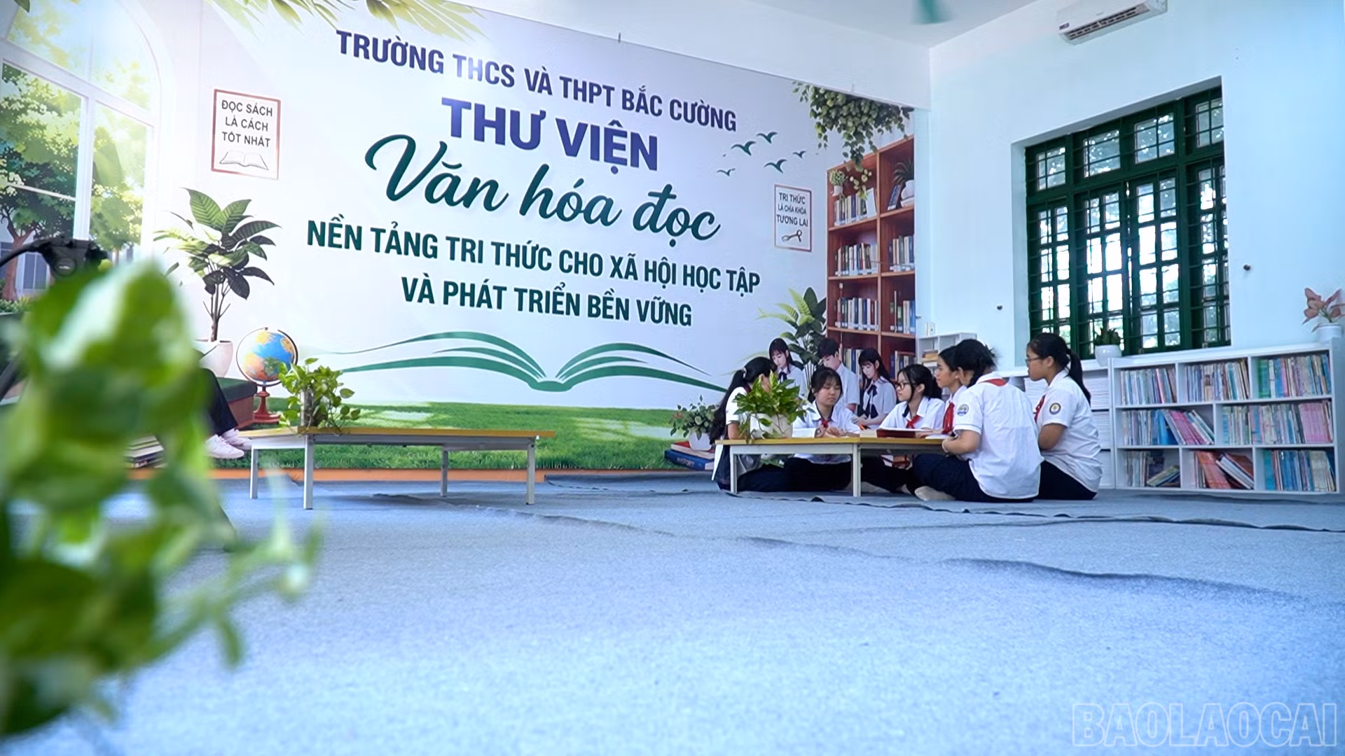 baolaocai-br_chuyen-de-van-hoa-the-thao-copy00-25-32-10still969.jpg
