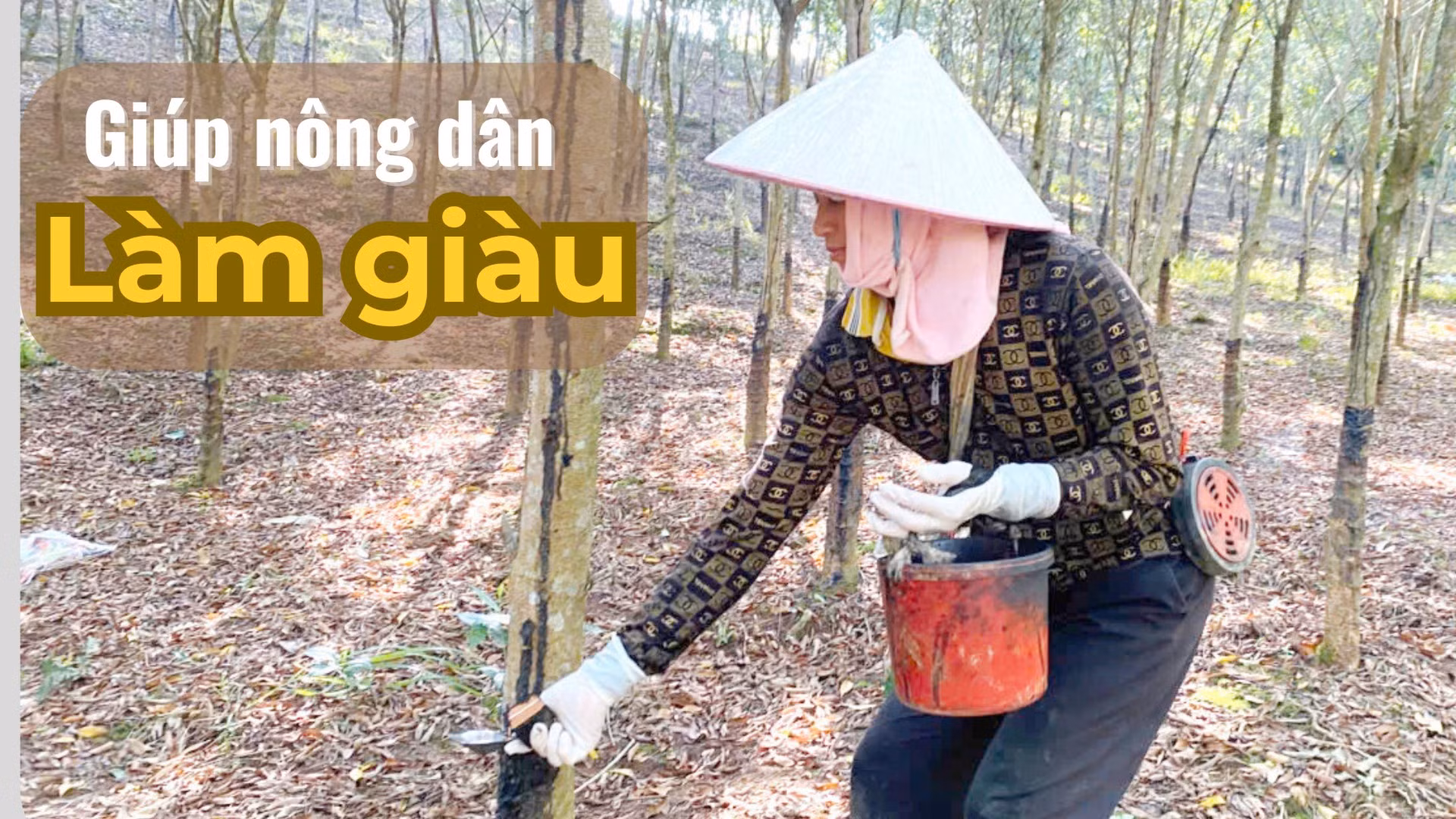 Giúp nông dân làm giàu 