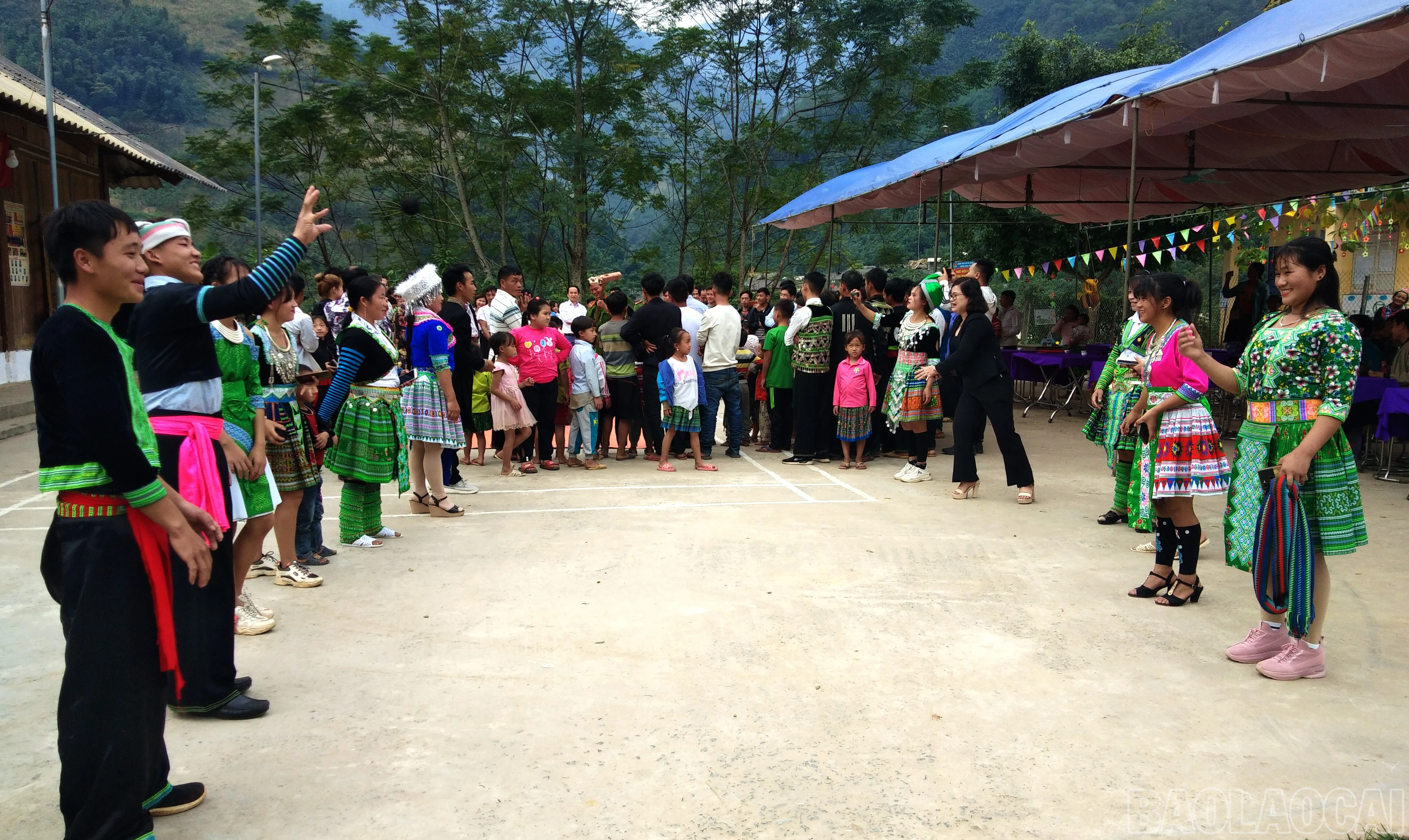 baolaocai-br_1-nem-con.jpg
