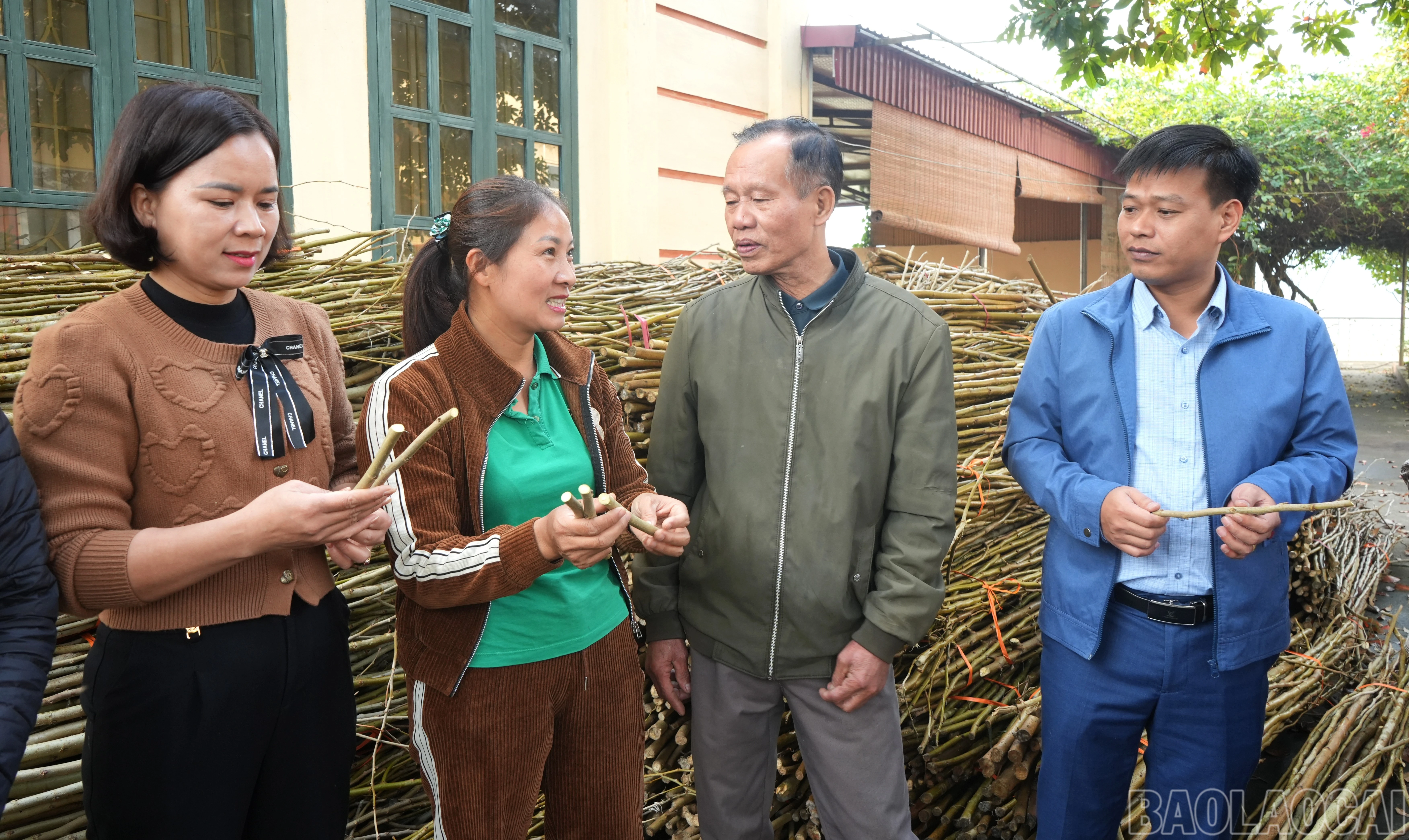 baolaocai-br_11ba-nguyen-thi-hanh-le-ao-xanh-trao-doi-ky-thuat-trong-dau-hom-bang-giong-gq2-276-898.jpg