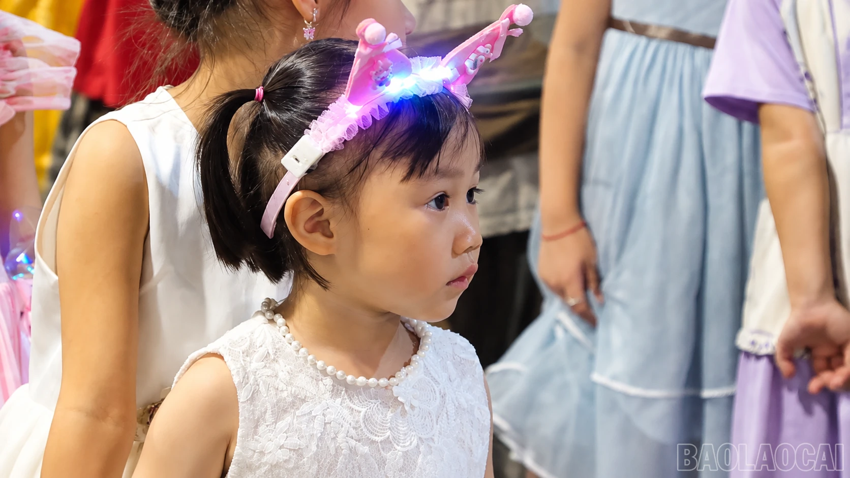 baolaocai-br_image-15-10-19-24-thg-9-2026.png