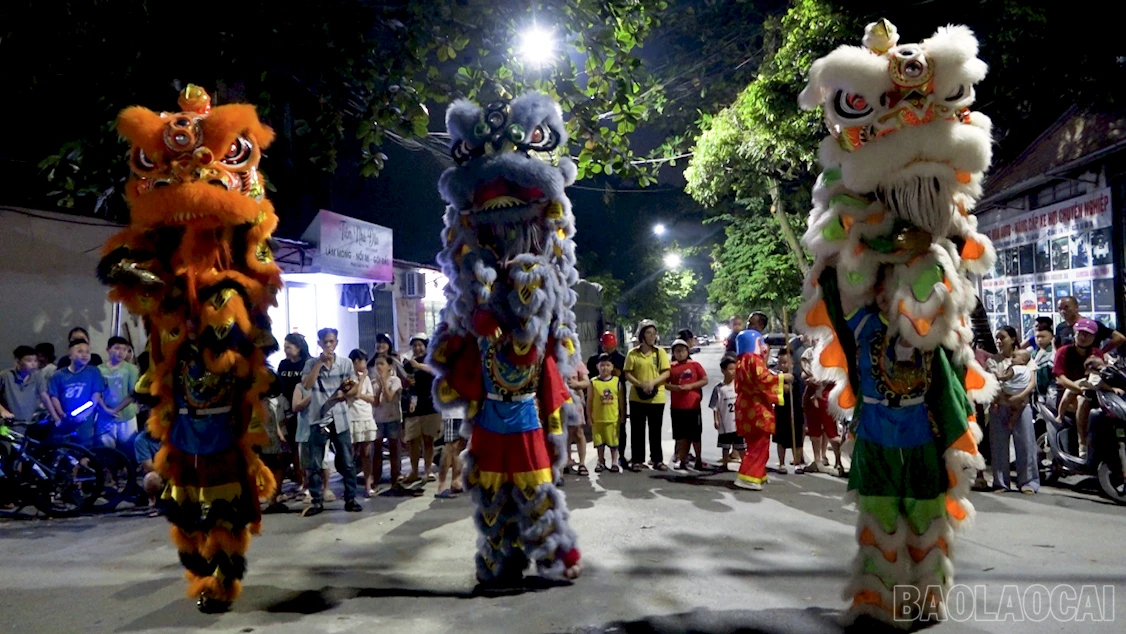 baolaocai-br_2026-09-24-150155.png