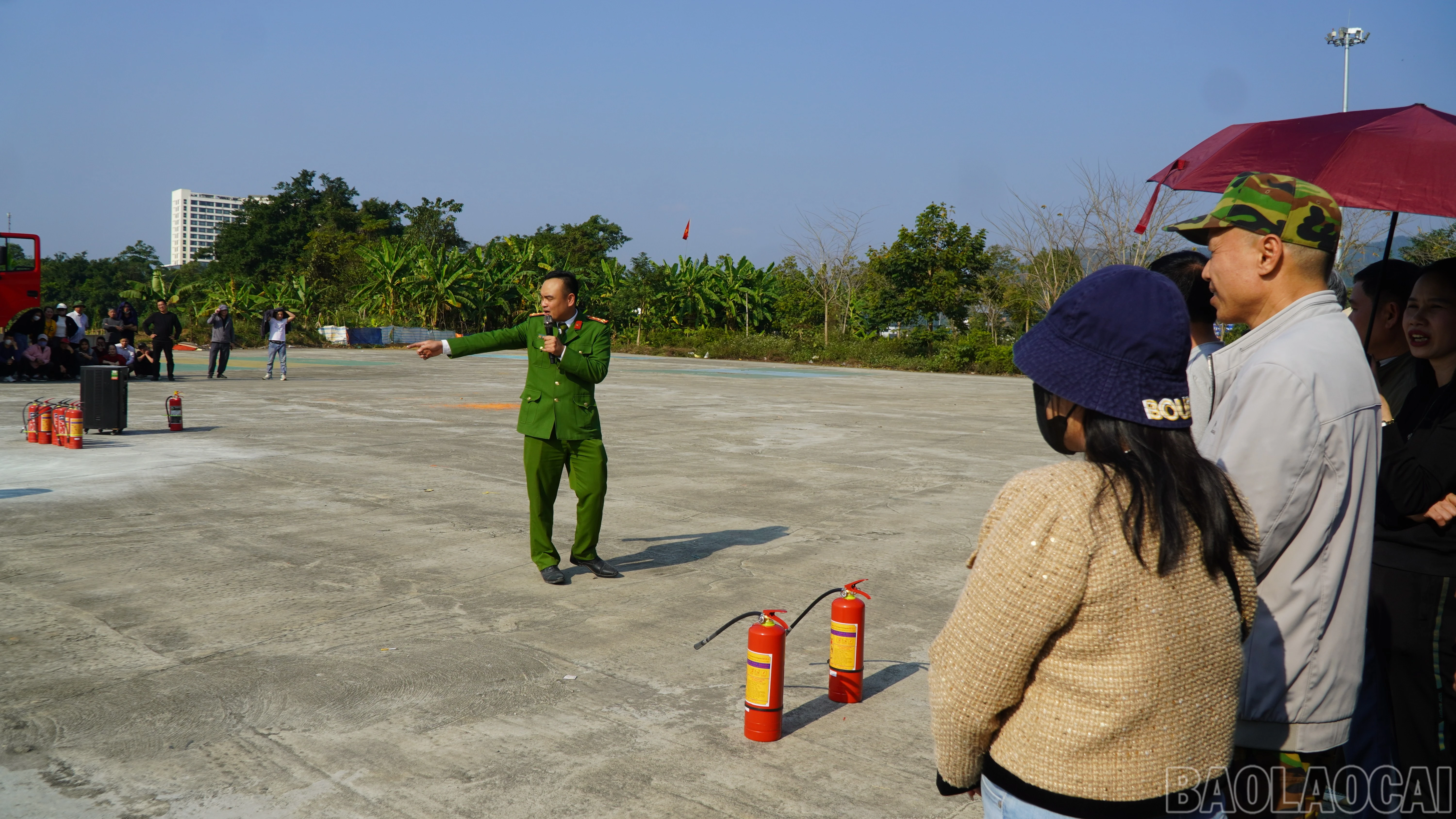 baolaocai-br_dsc06477.jpg