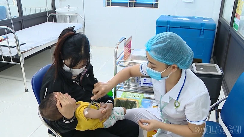 baolaocai-br_2025-12-22-155703.png